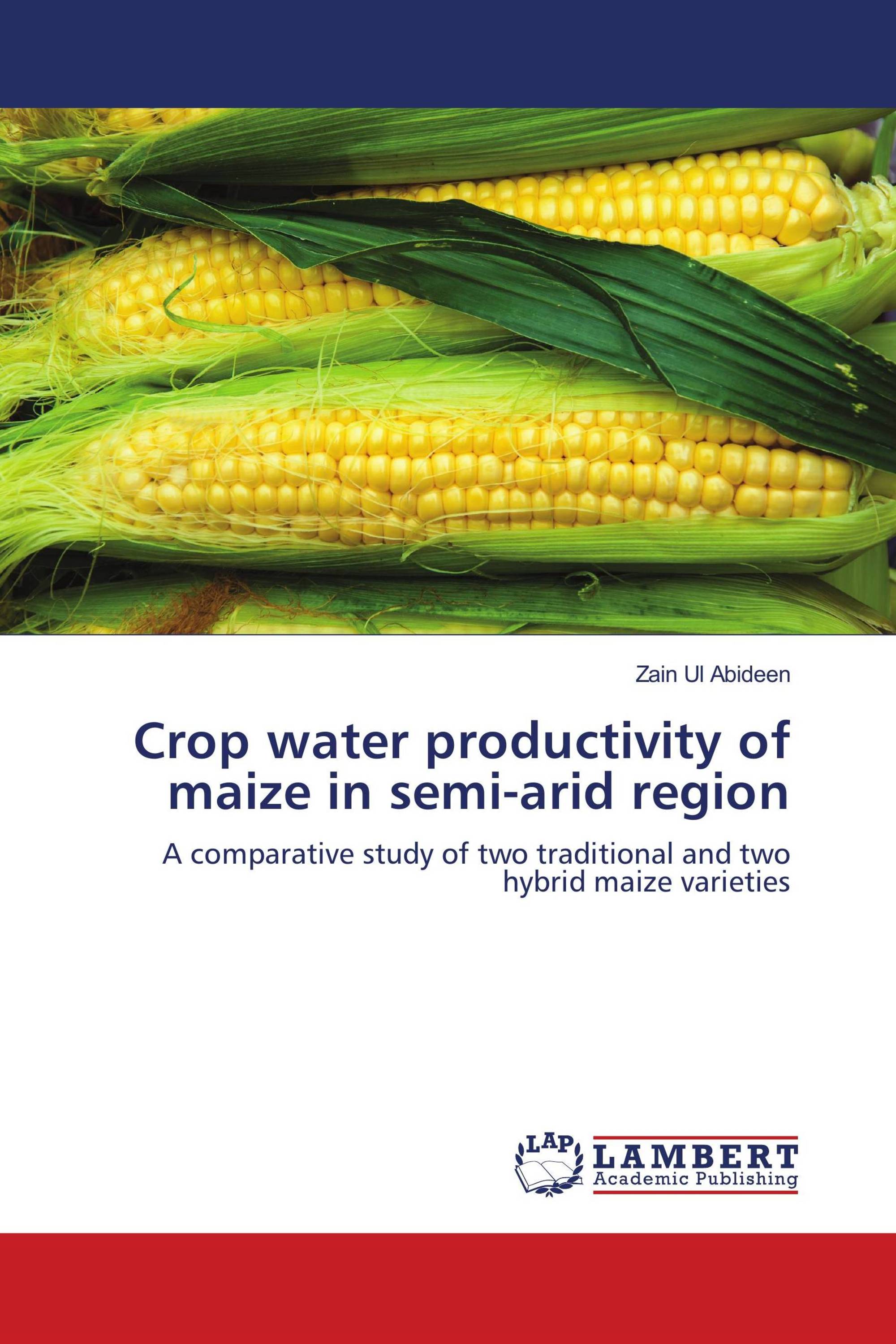 Crop water productivity of maize in semi-arid region