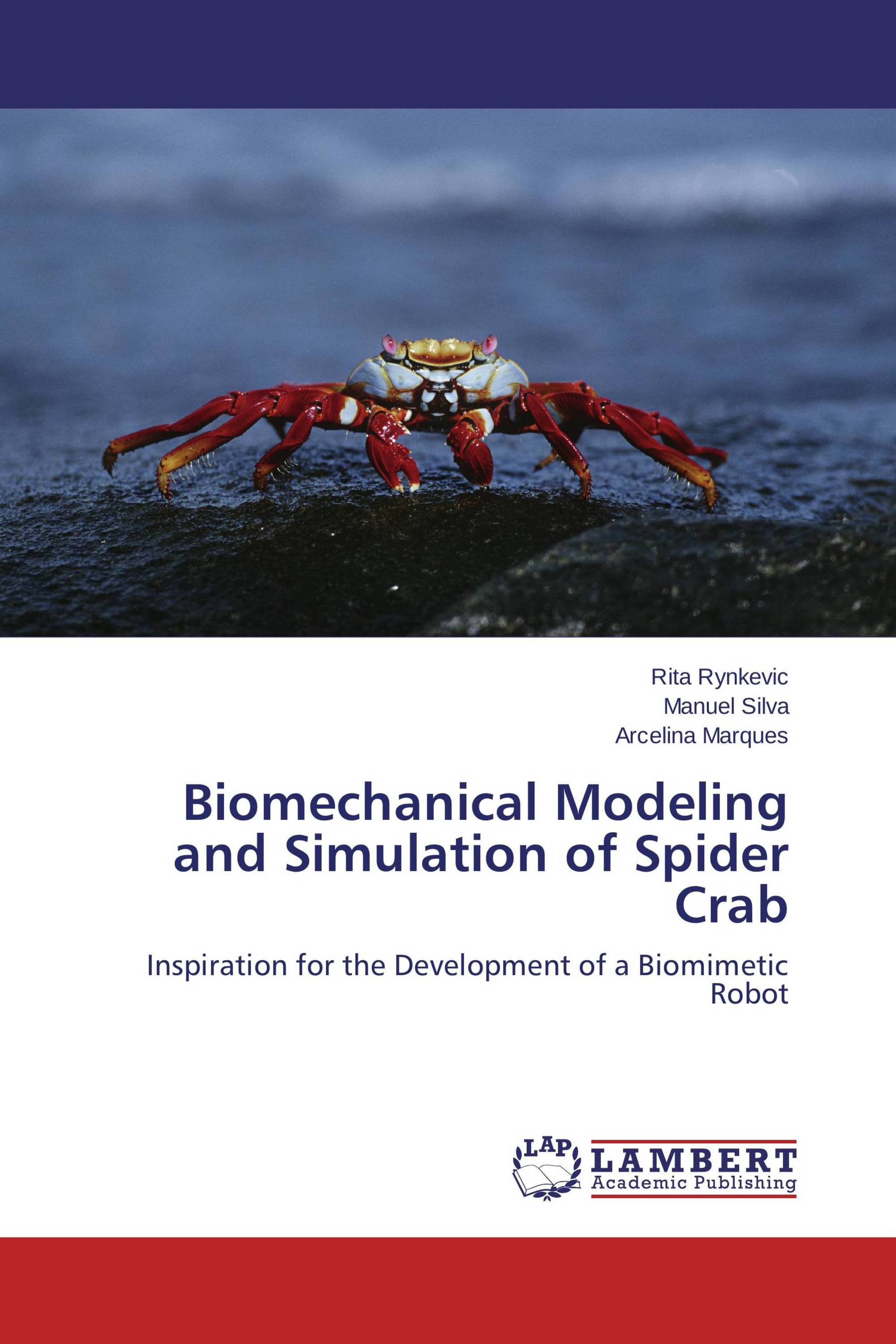 Biomechanical Modeling and Simulation of Spider Crab