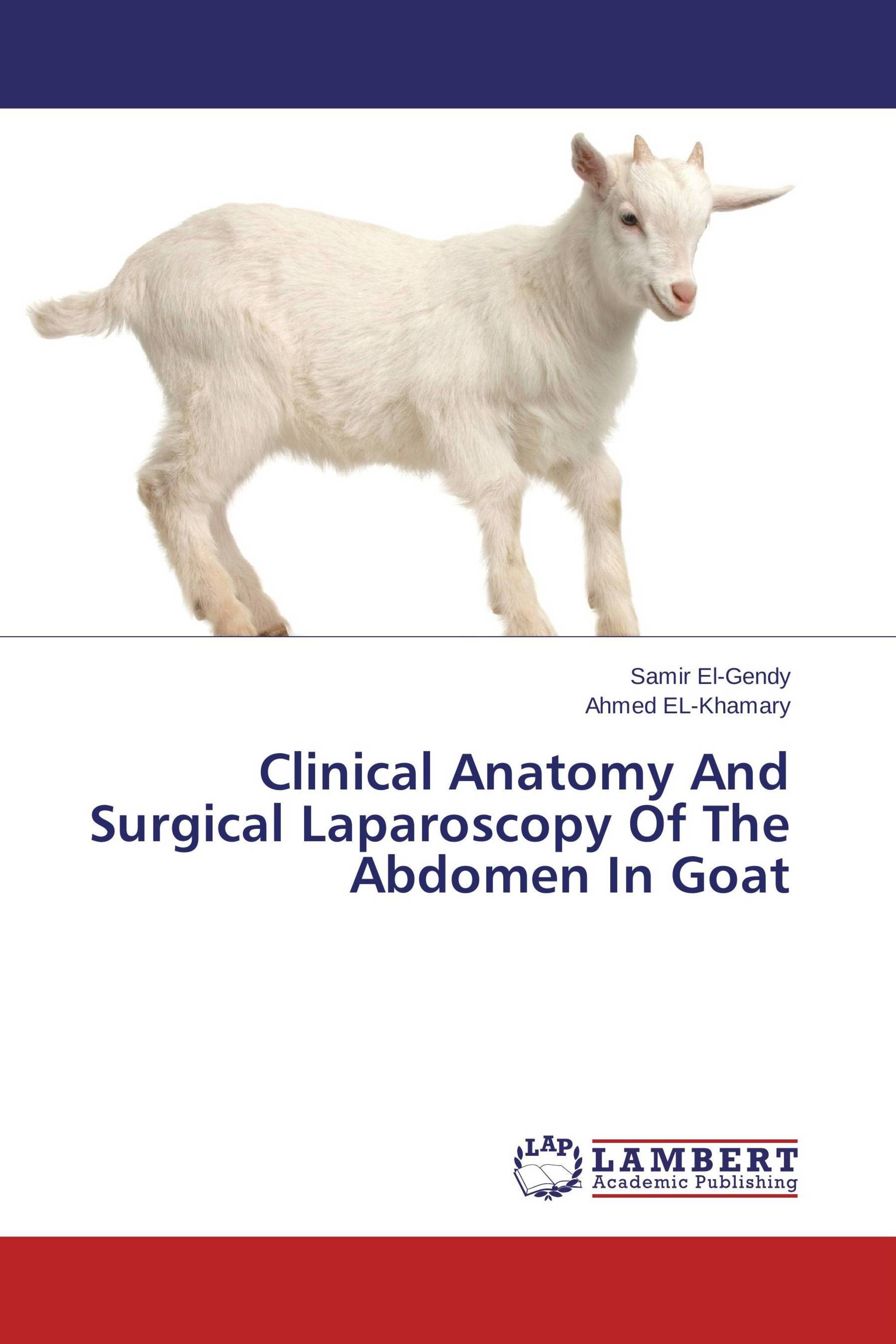 Clinical Anatomy And Surgical Laparoscopy Of The Abdomen In Goat