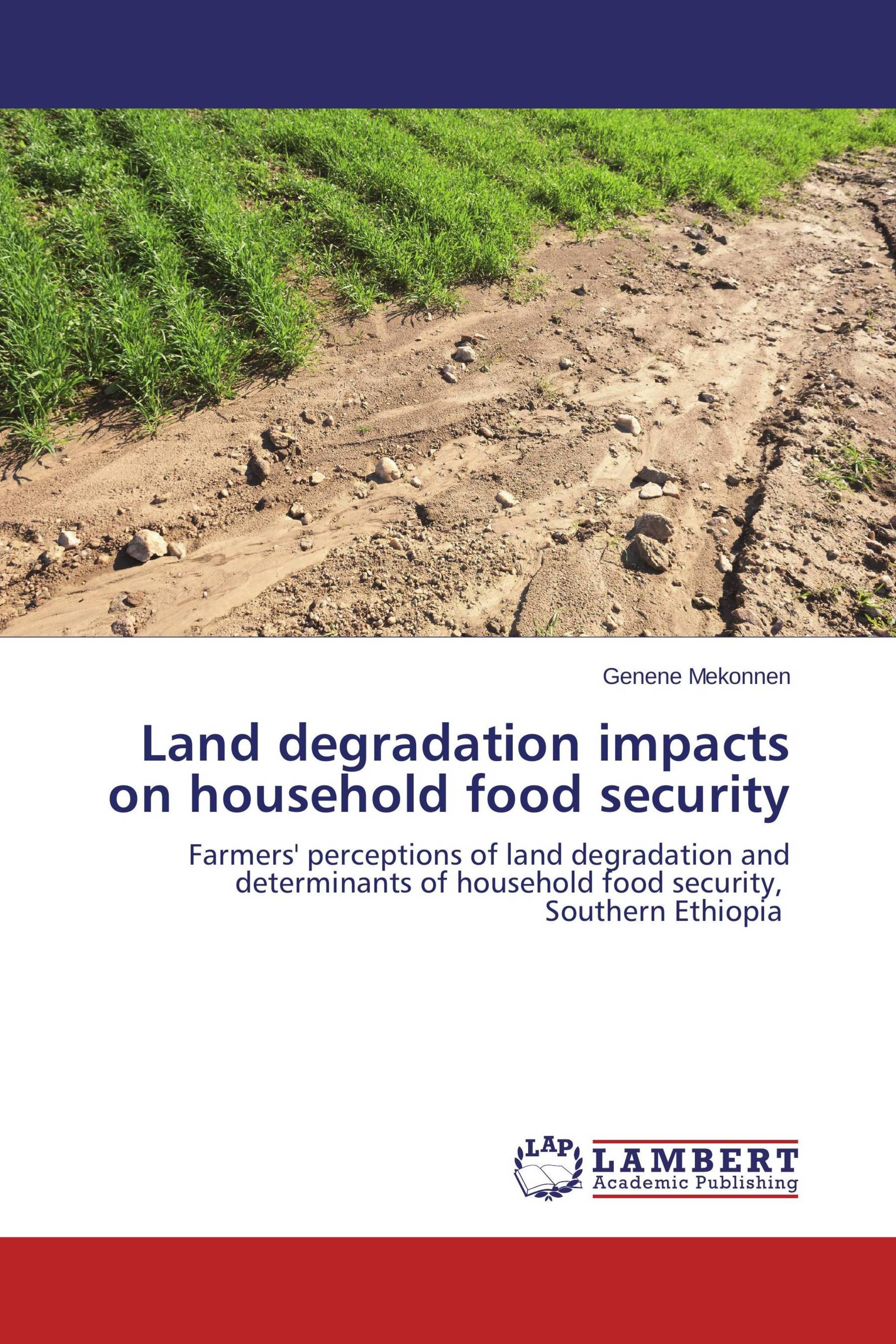 Land degradation impacts on household food security