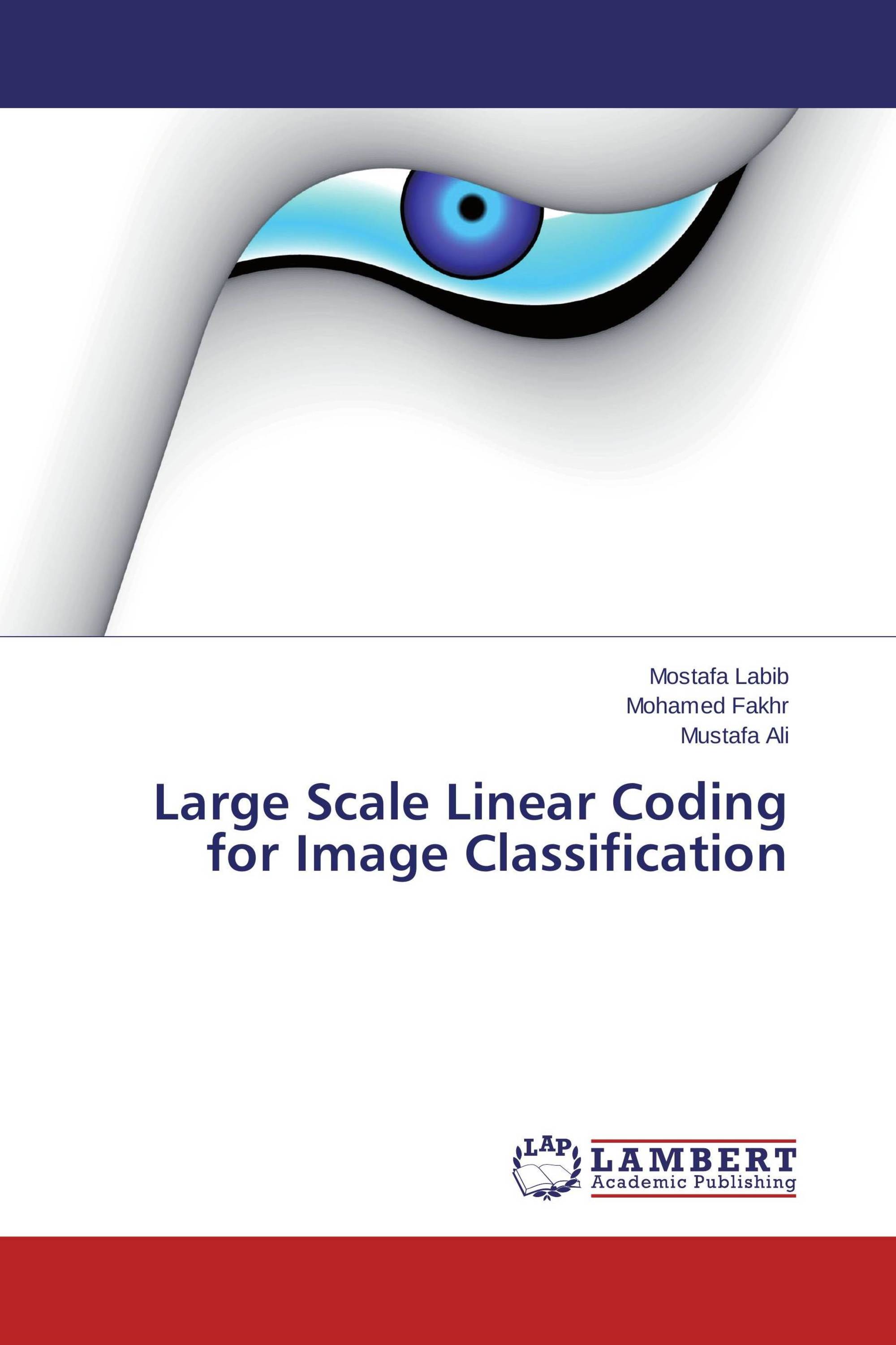 Large Scale Linear Coding for Image Classification