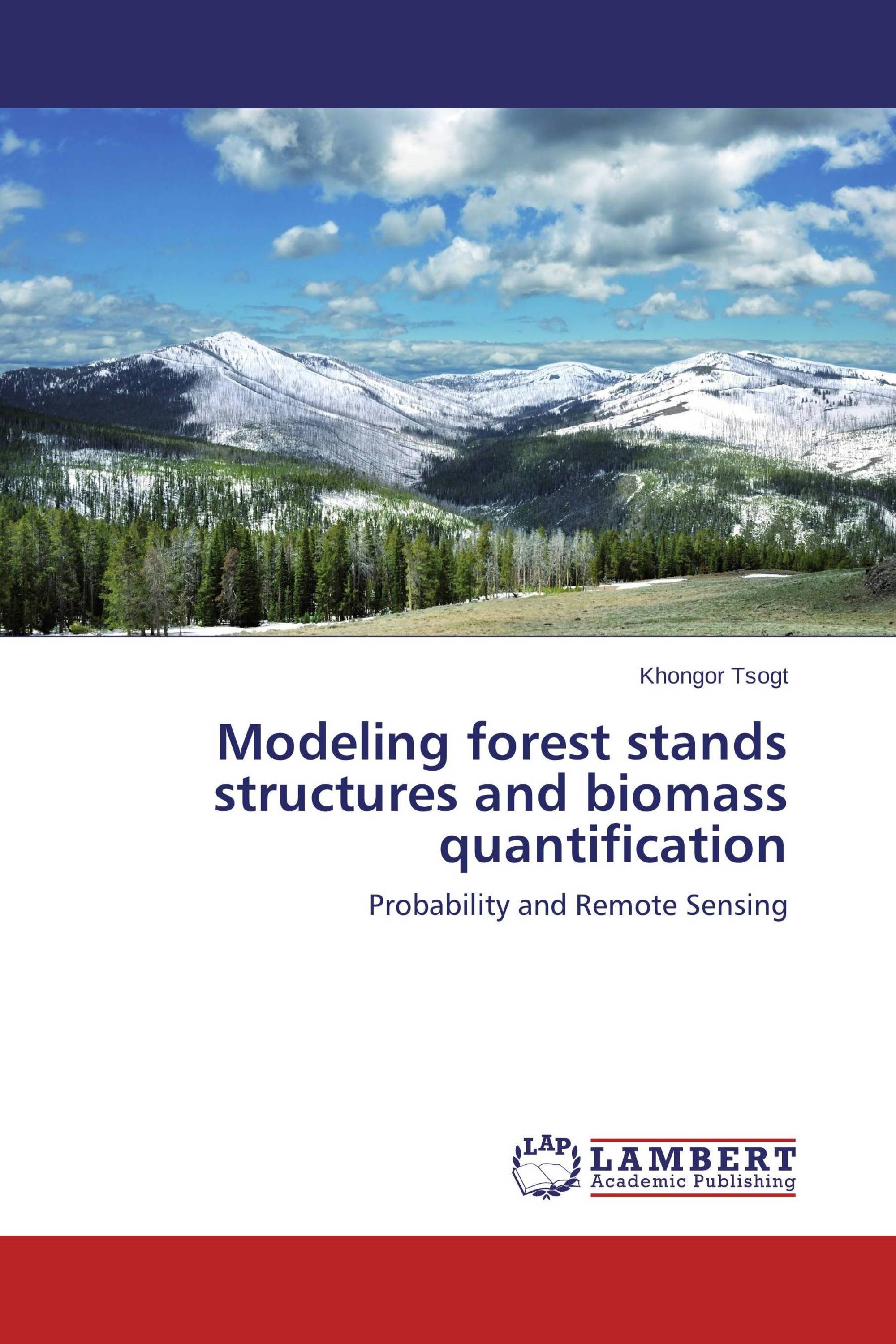 Modeling forest stands structures and biomass quantification