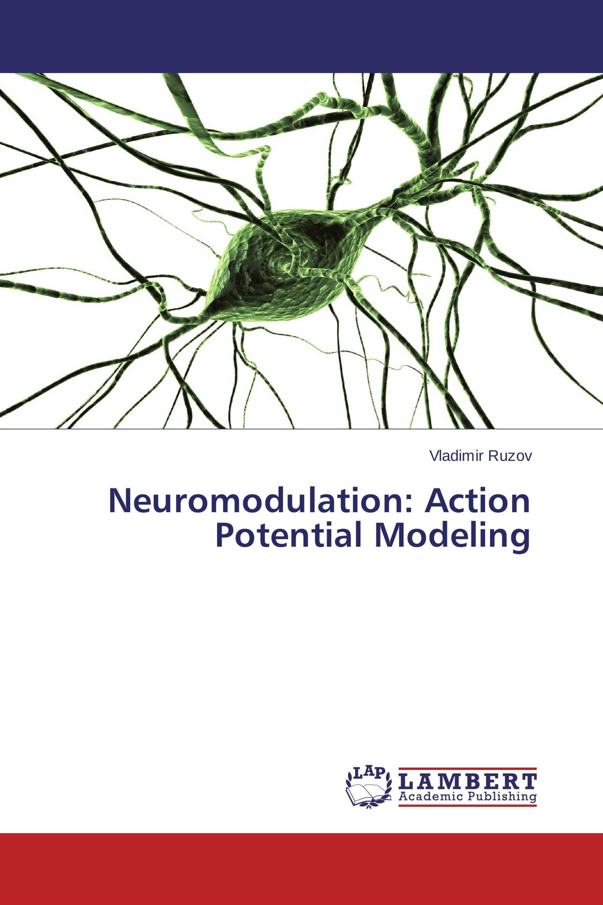 Neuromodulation: Action Potential Modeling