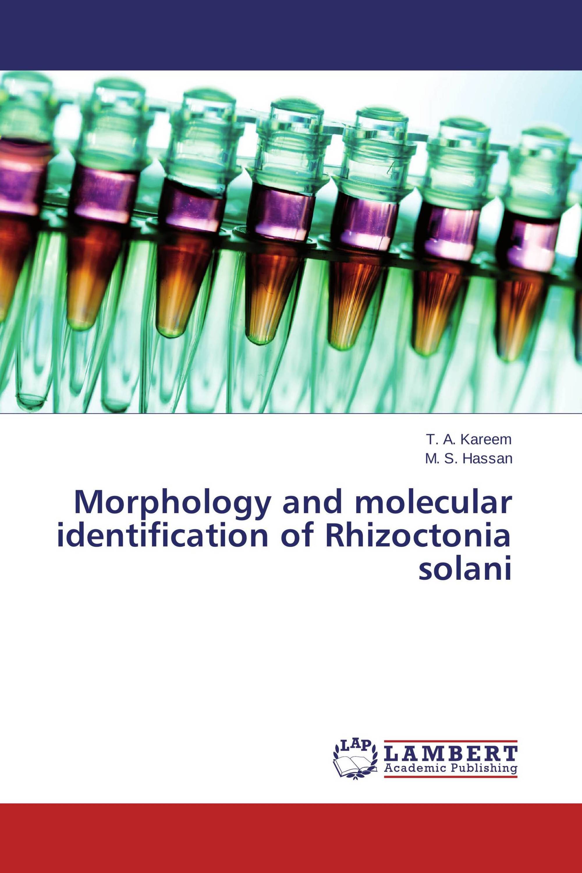 Morphology and molecular identification of Rhizoctonia solani