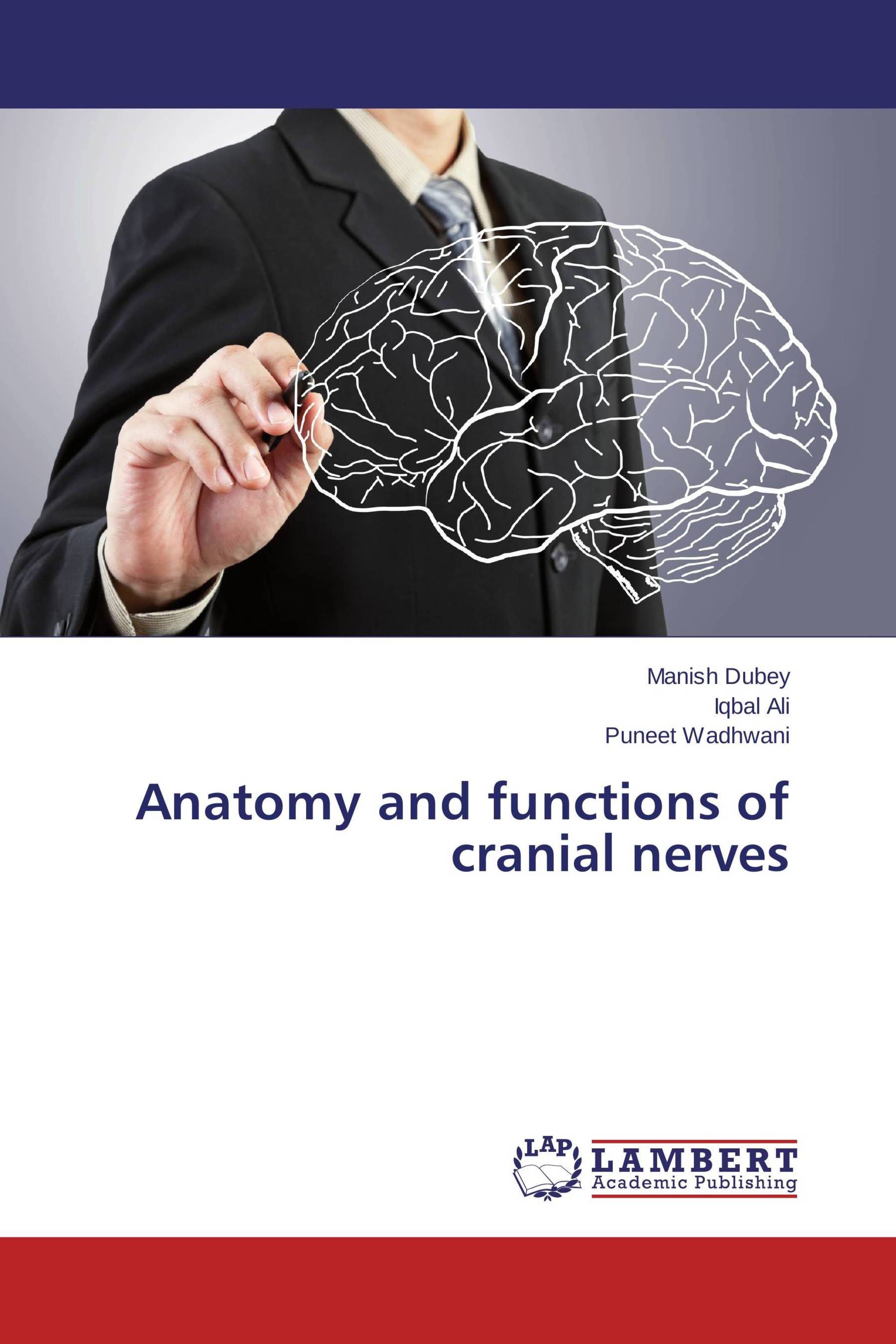 Anatomy and functions of cranial nerves