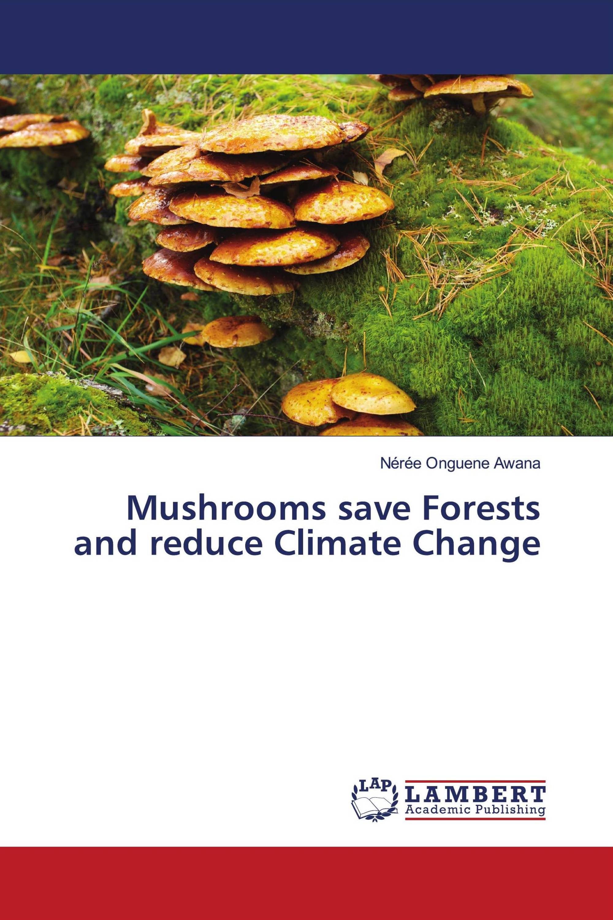 Mushrooms save Forests and reduce Climate Change