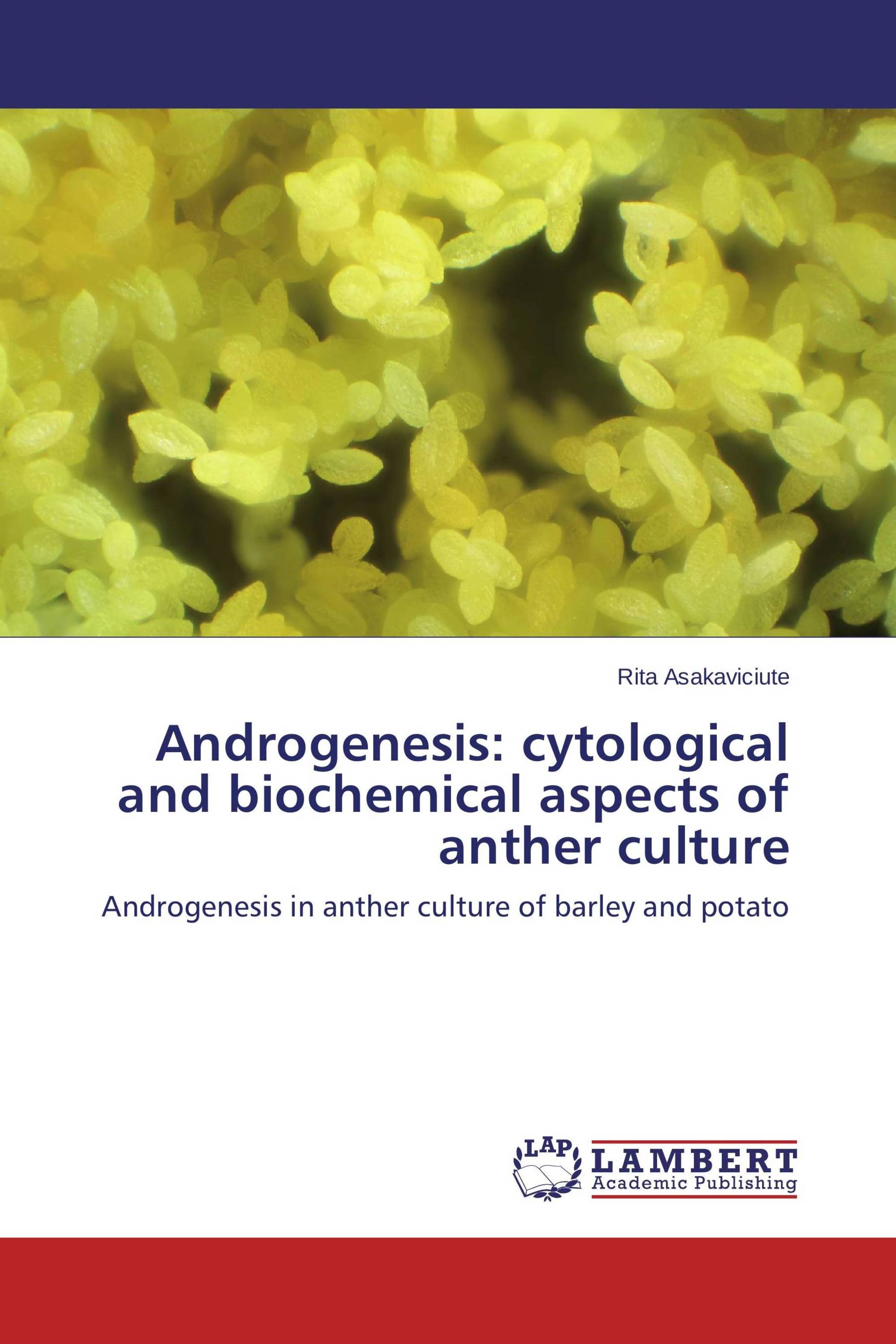 Androgenesis: cytological and biochemical aspects of anther culture