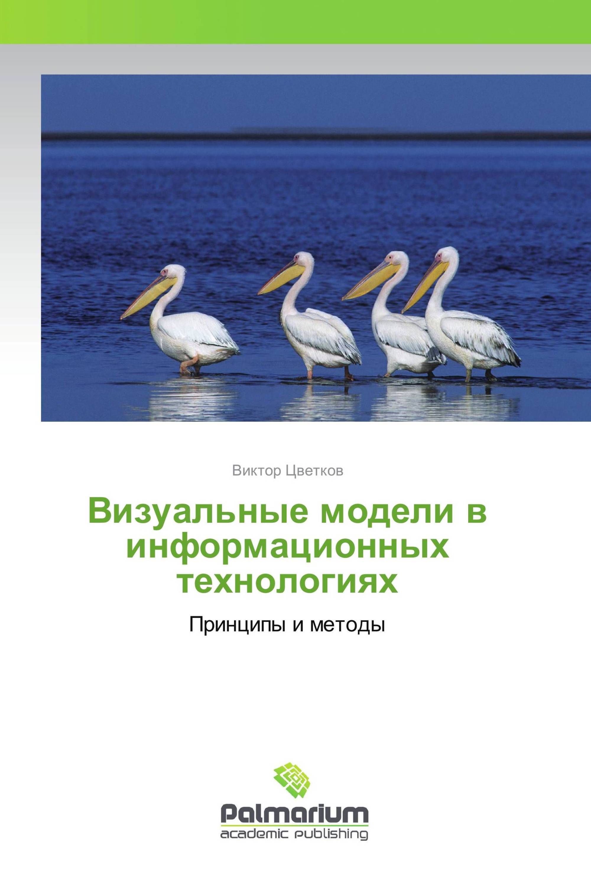 Визуальные модели в информационных технологиях