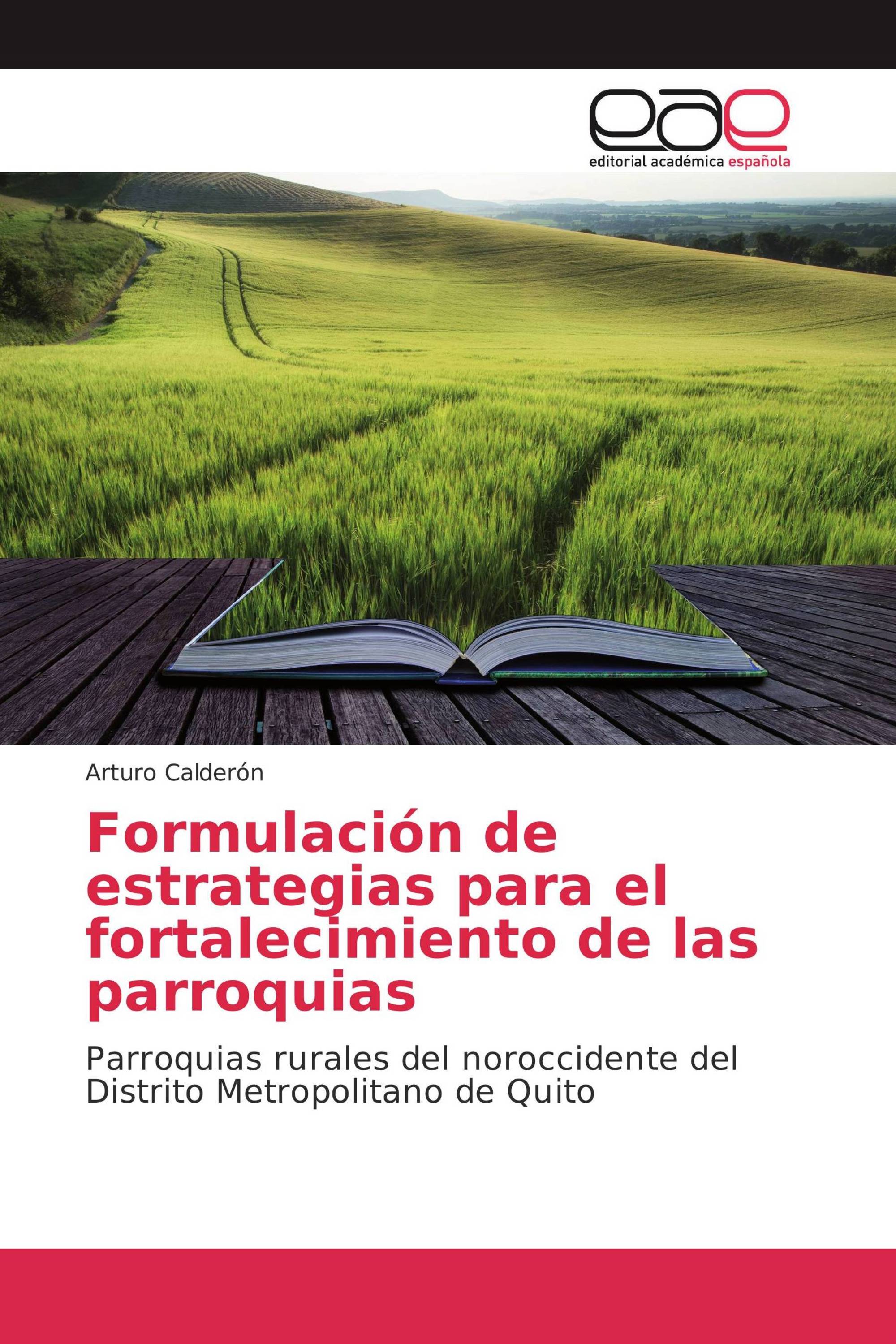 Formulación de estrategias para el fortalecimiento de las parroquias