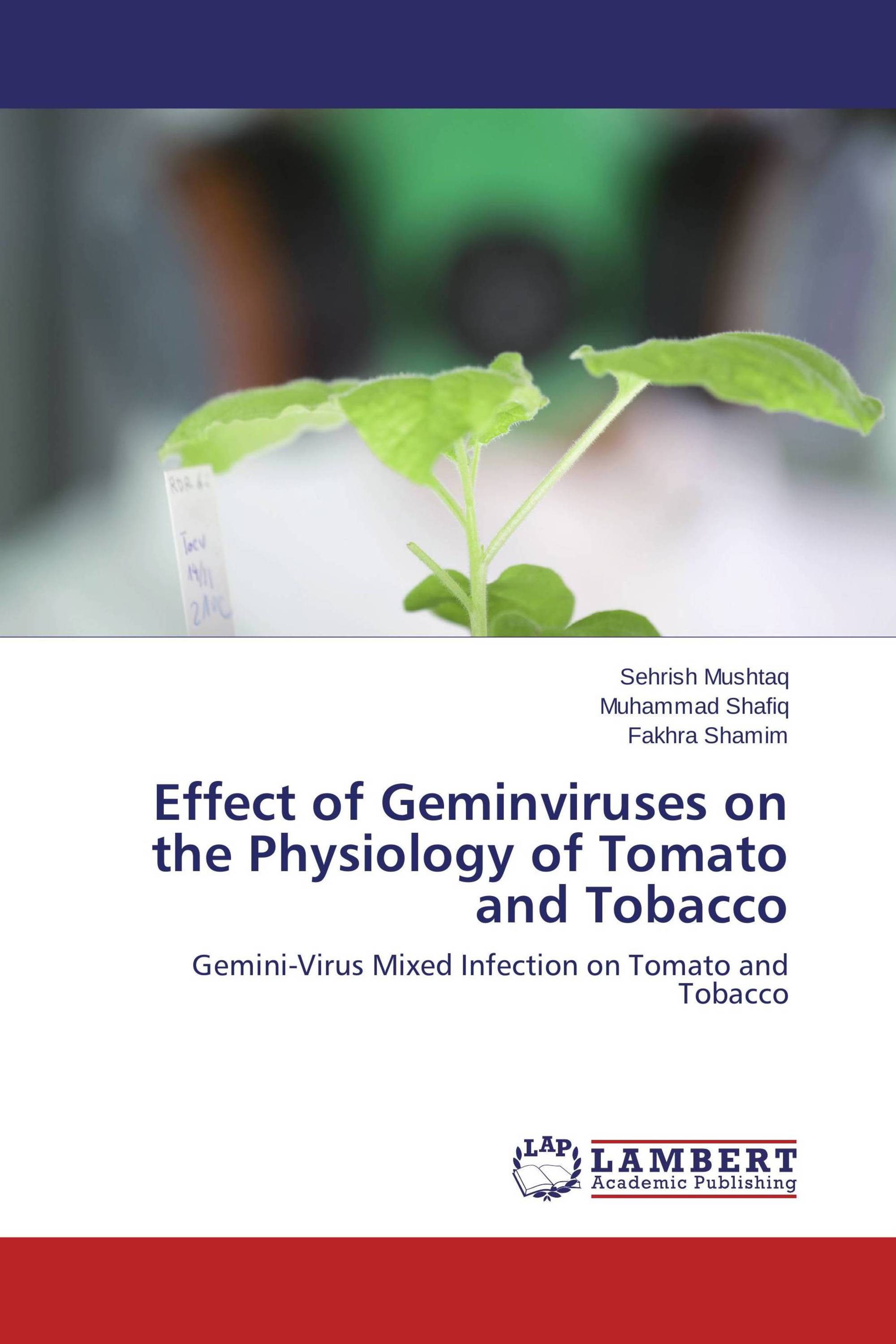 Effect of Geminviruses on the Physiology of Tomato and Tobacco