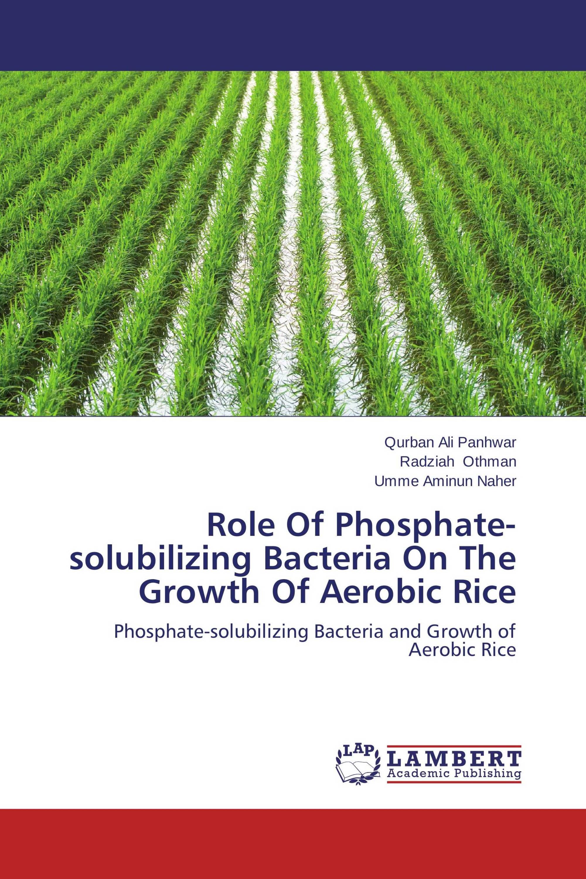 Role Of Phosphate-solubilizing Bacteria On The Growth Of Aerobic Rice