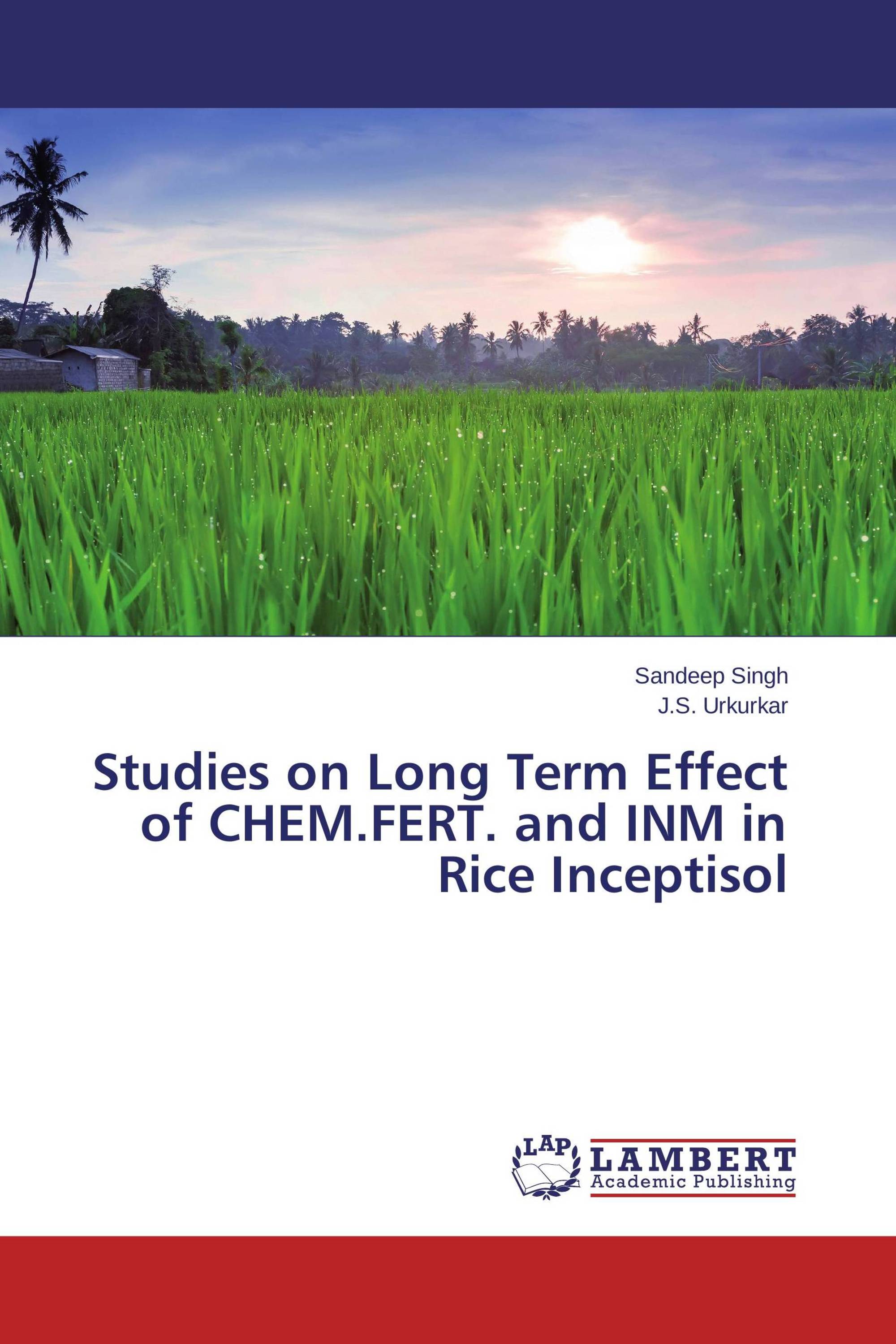 Rice Purity Score: What Are The Long Term Effects? - 8cgs42u