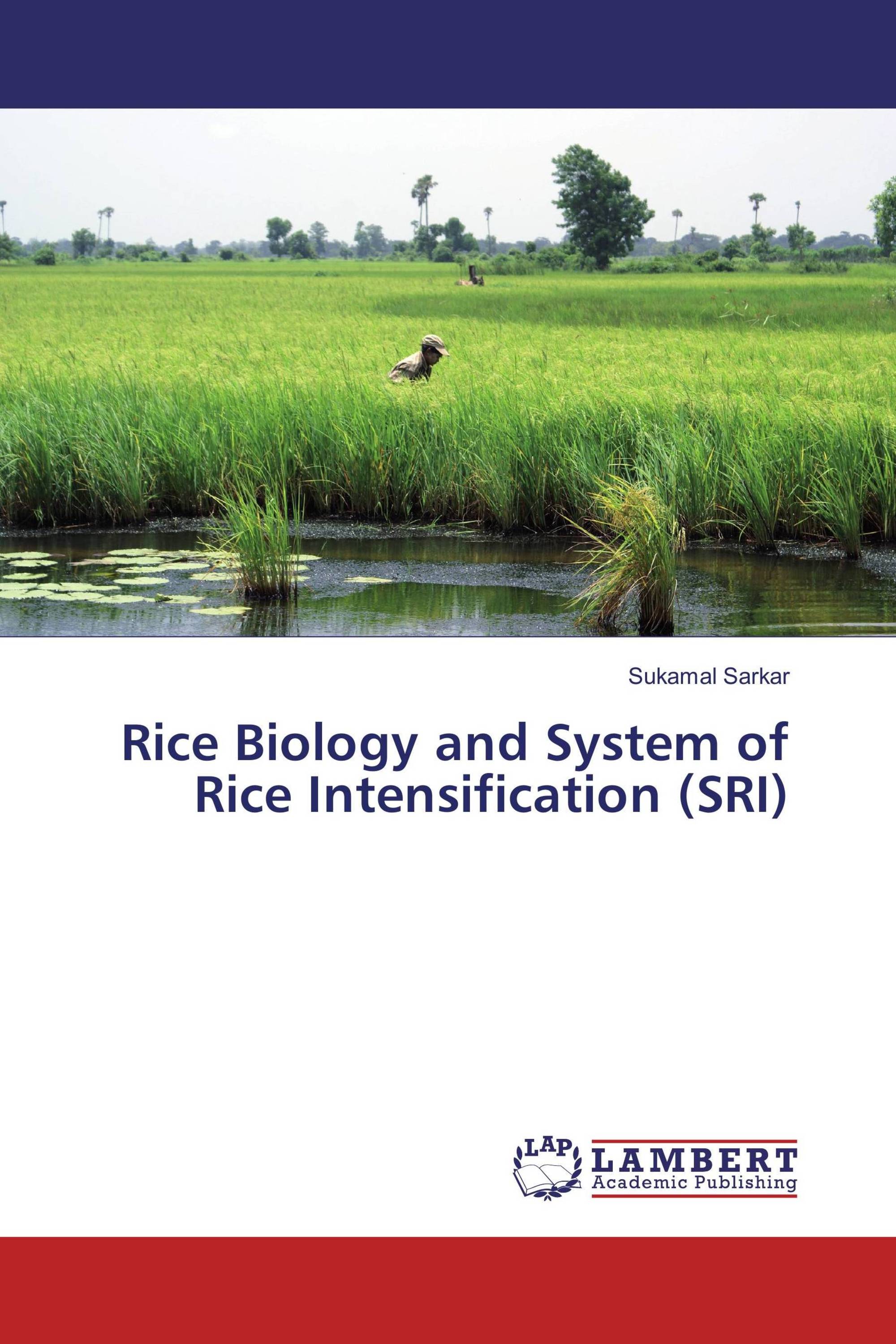 Rice Biology and System of Rice Intensification (SRI)