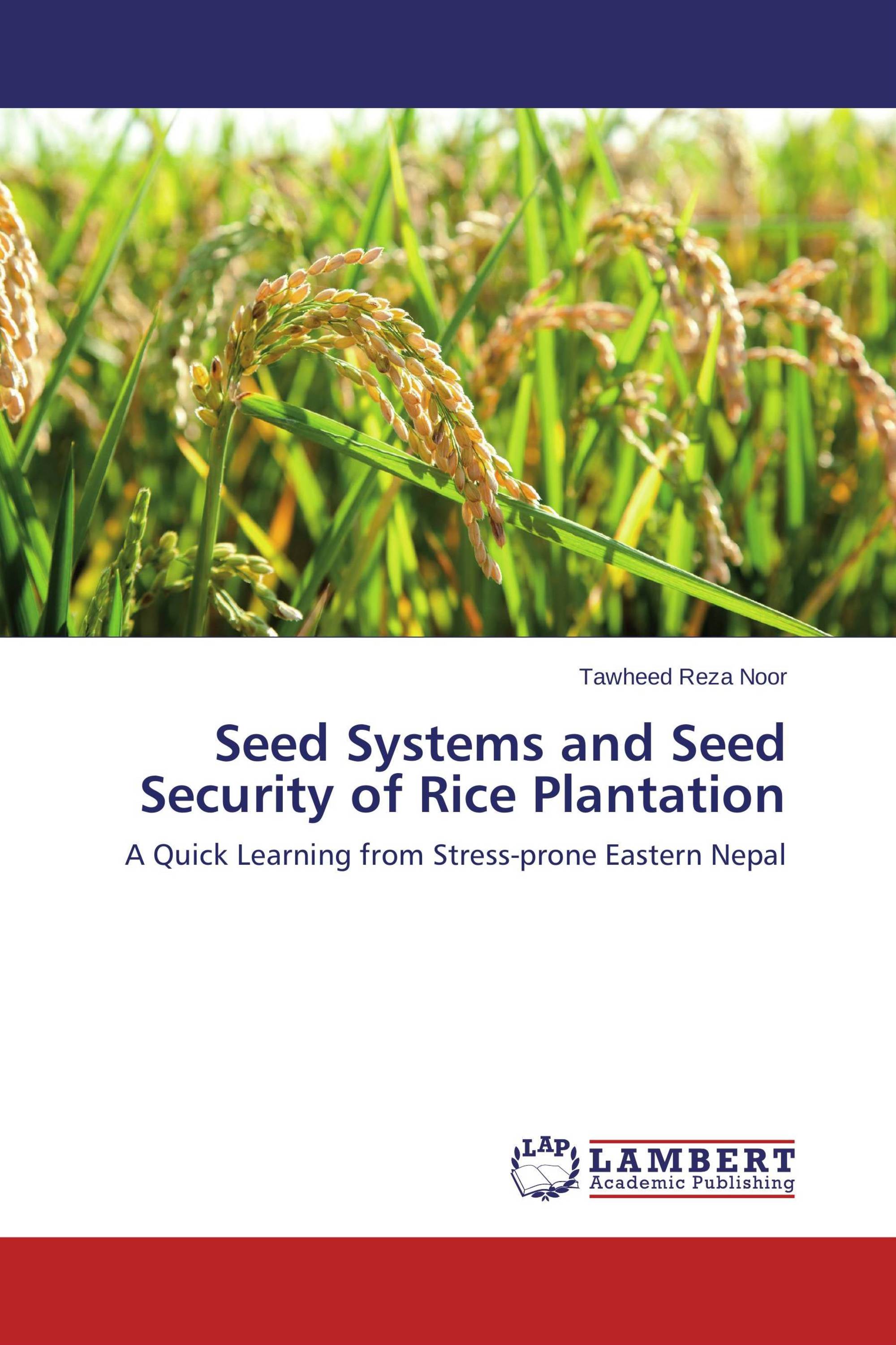 Seed Systems and Seed Security of Rice Plantation