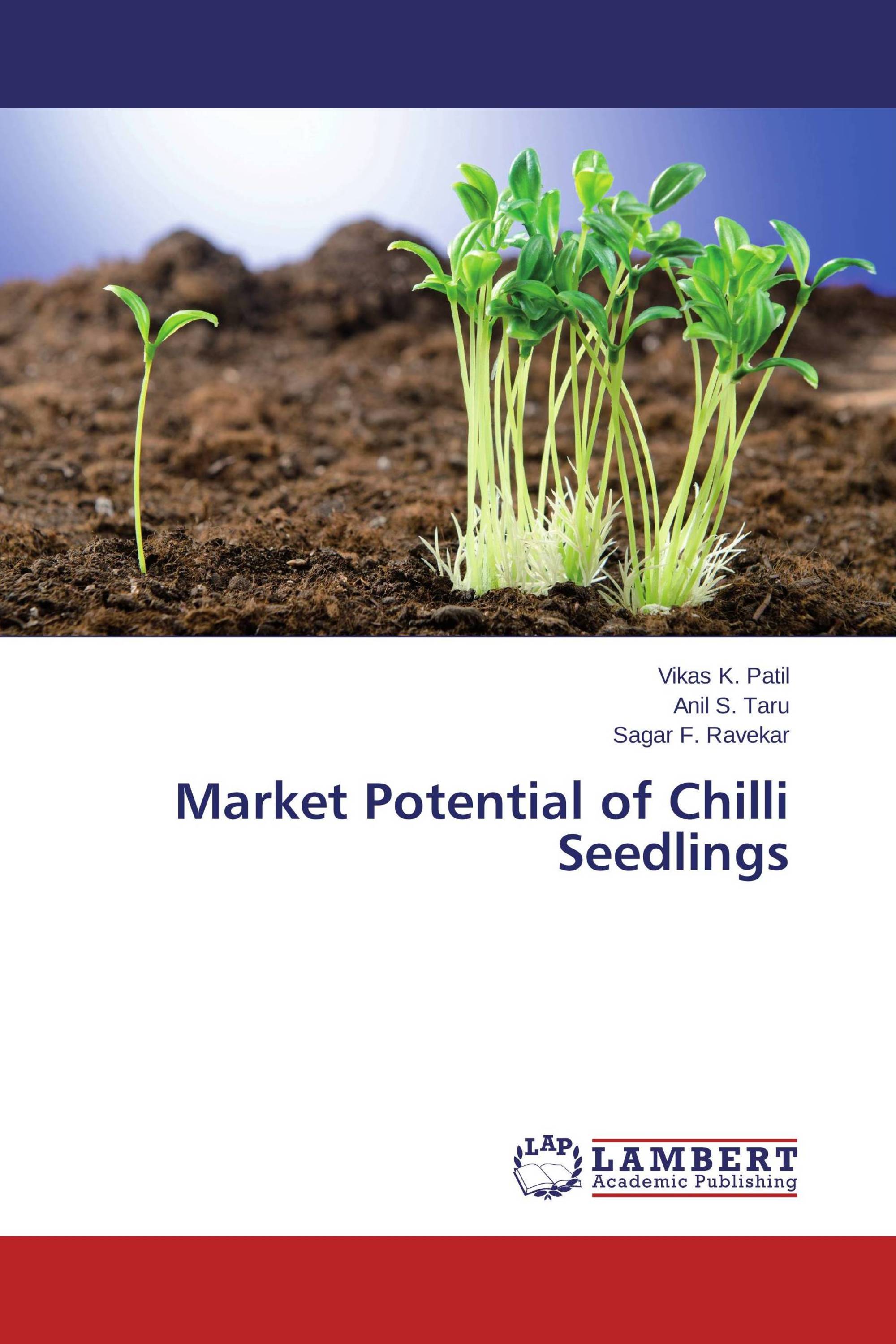 Market Potential of Chilli Seedlings