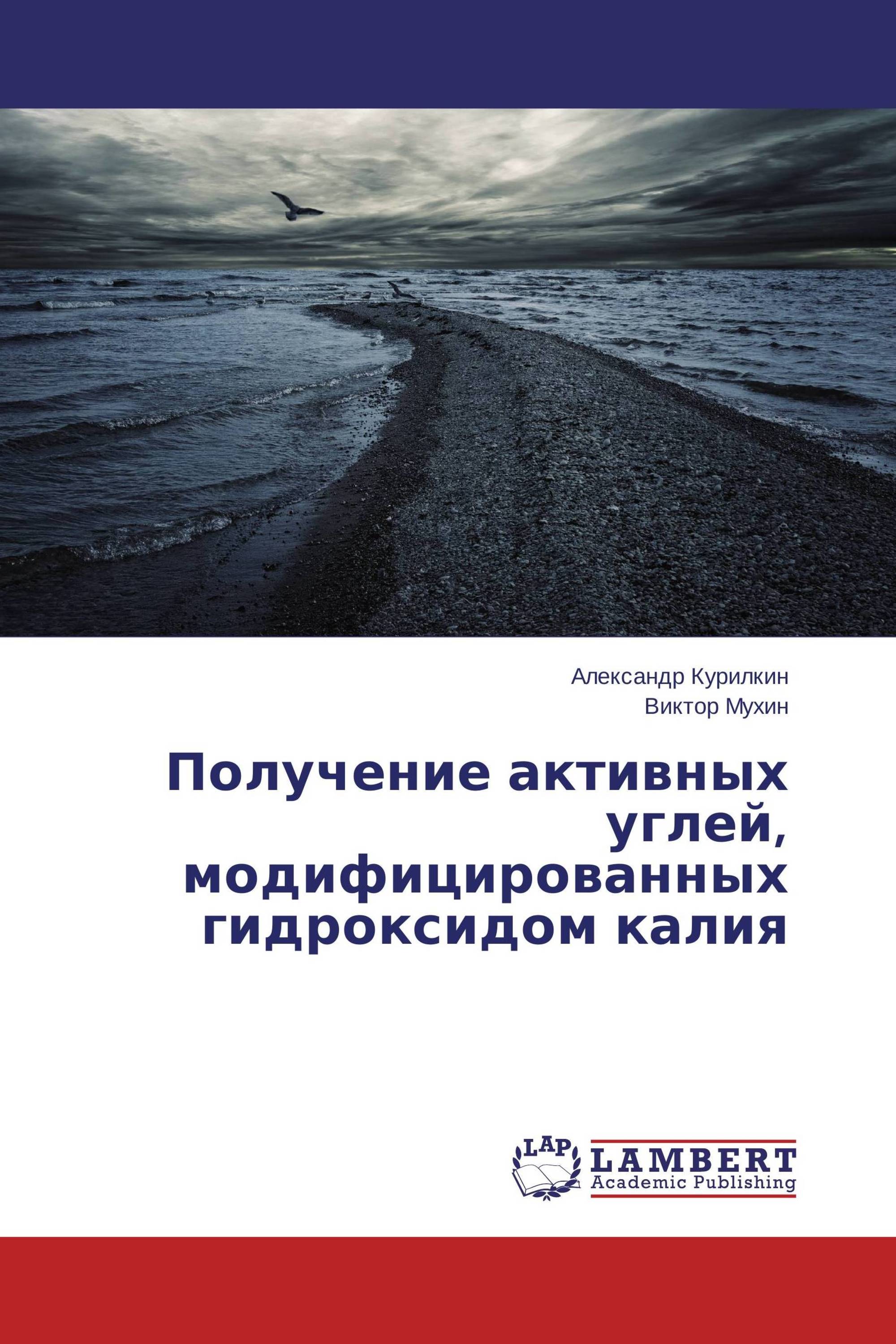 Получение активных углей, модифицированных гидроксидом калия