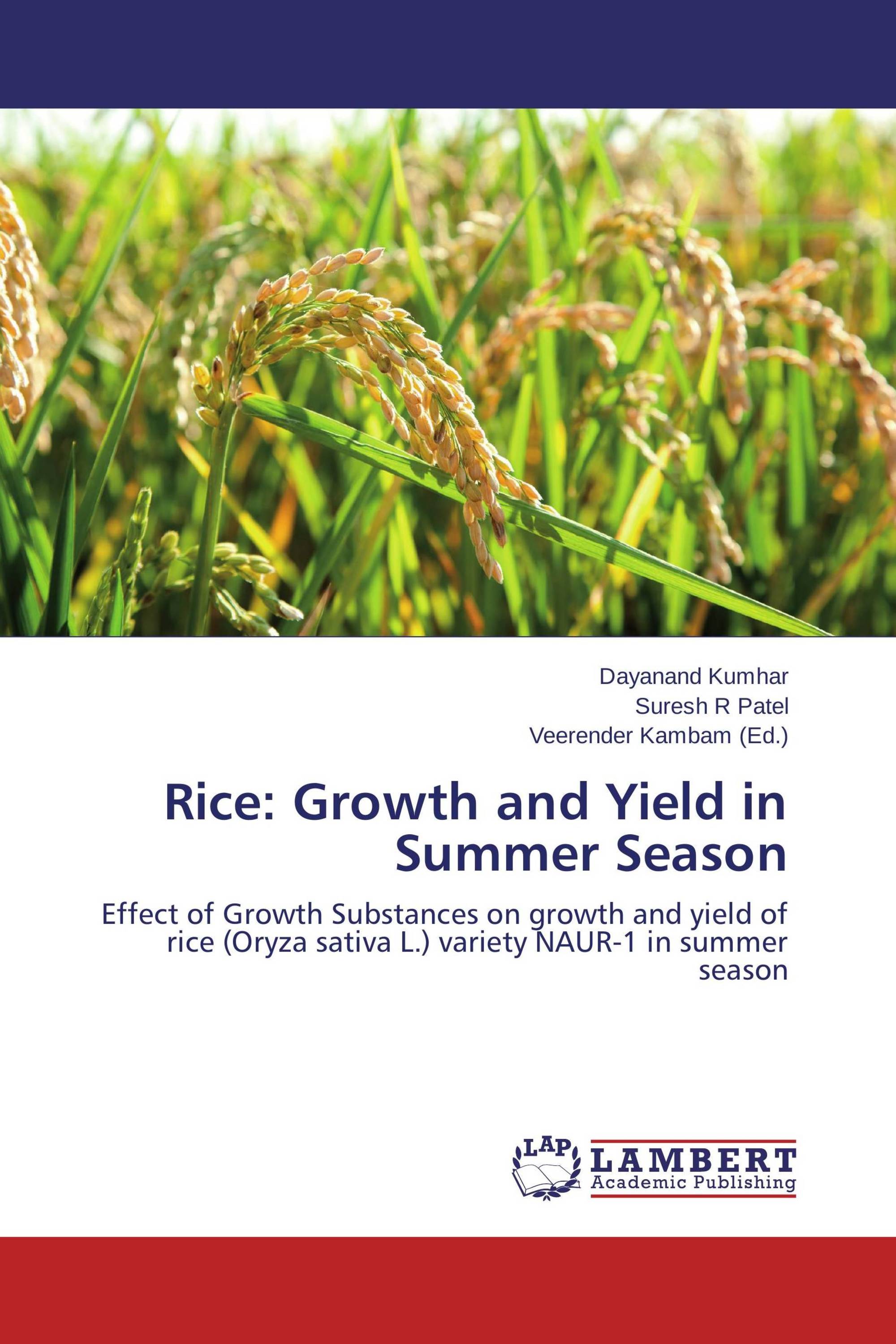 Rice: Growth and Yield in Summer Season