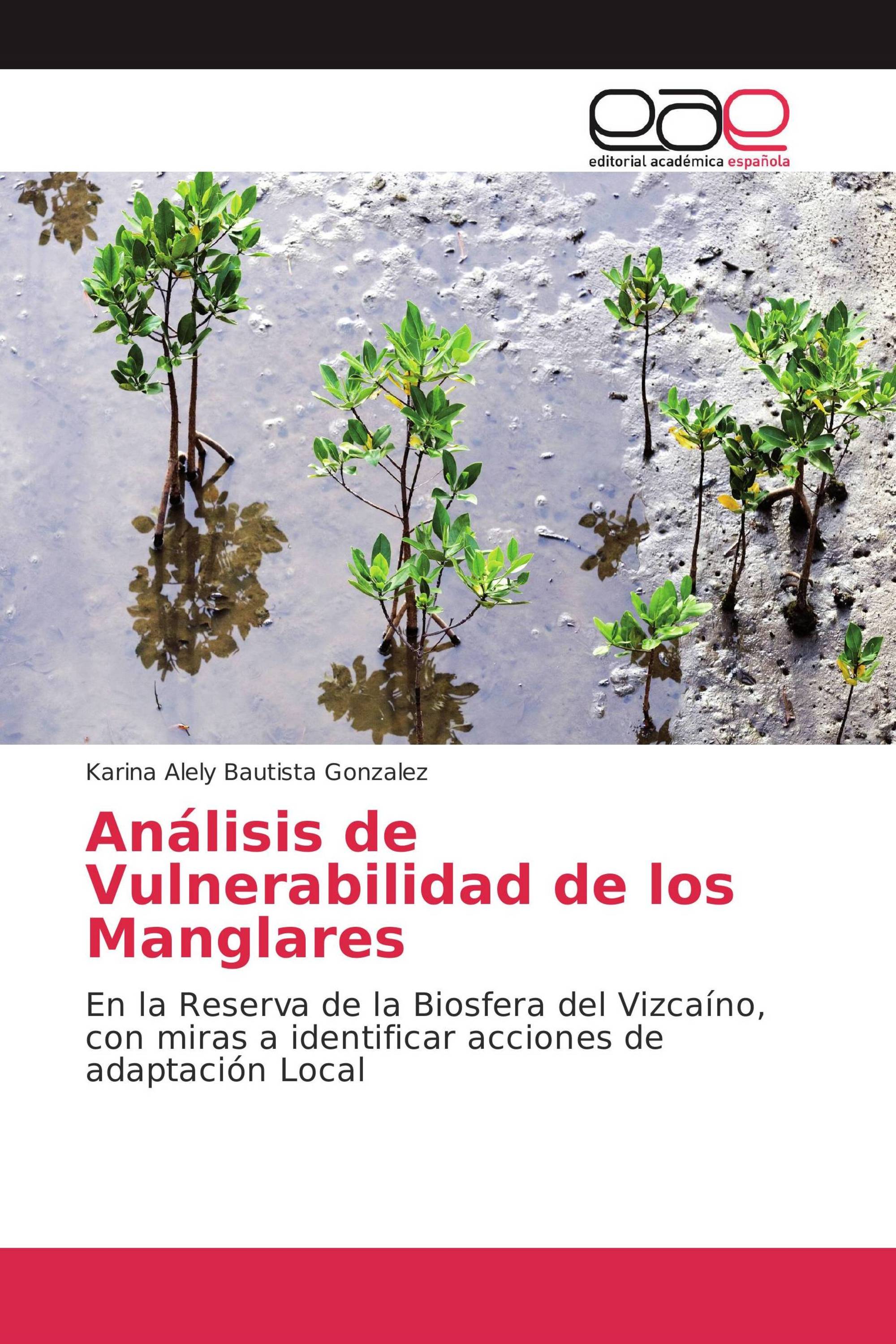 Análisis de Vulnerabilidad de los Manglares