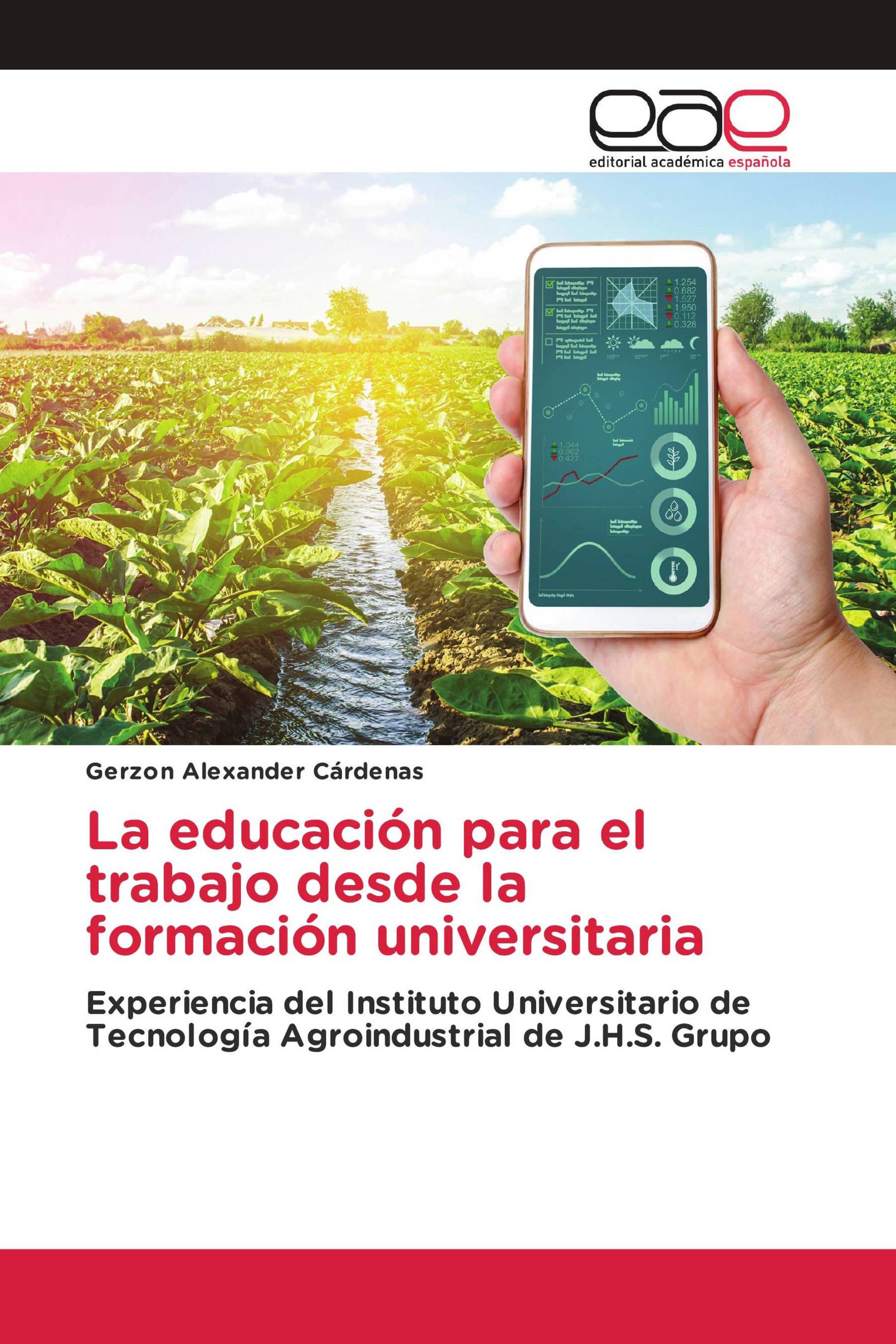 La educación para el trabajo desde la formación universitaria