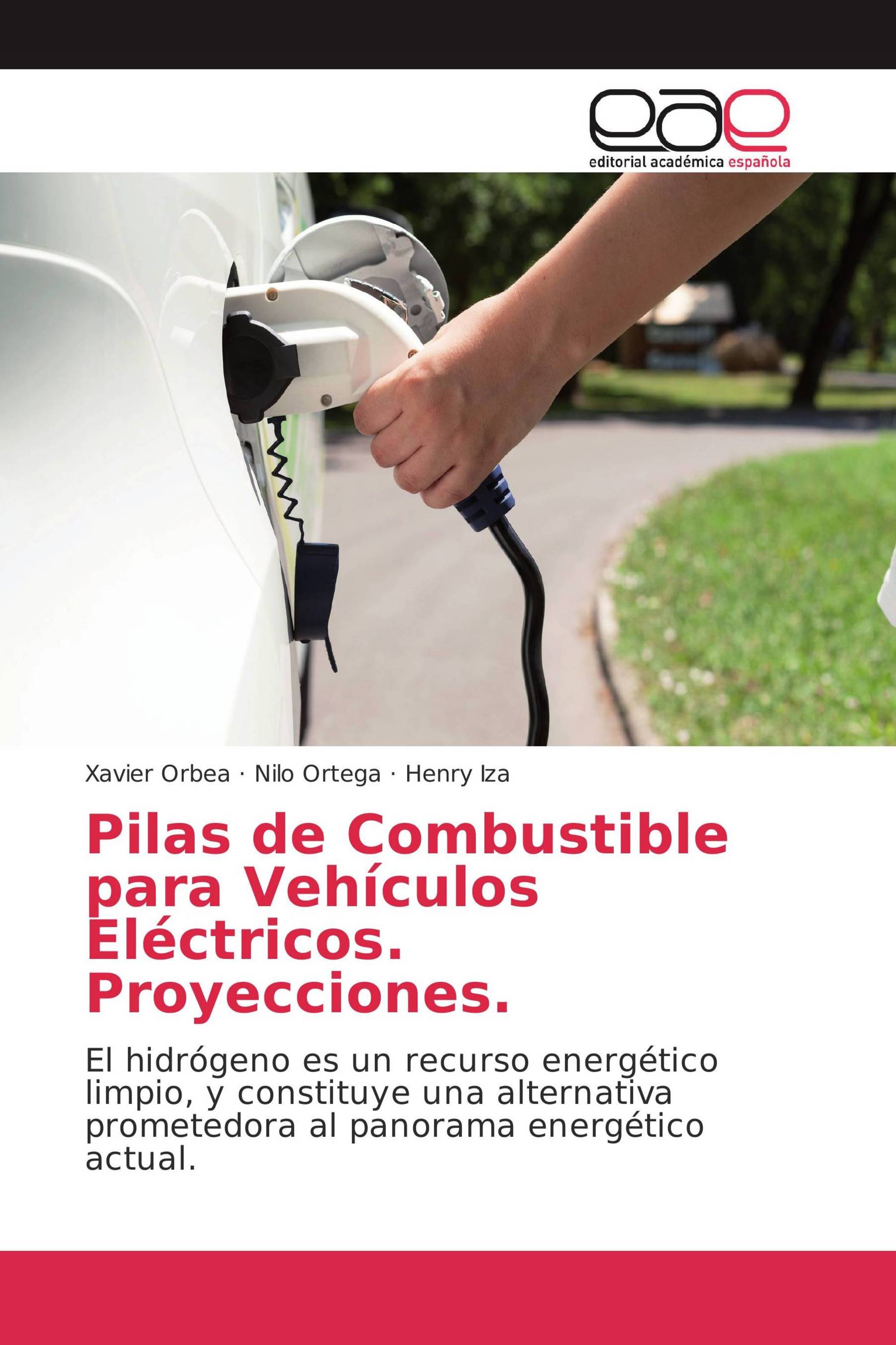 Pilas de Combustible para Vehículos Eléctricos Proyecciones