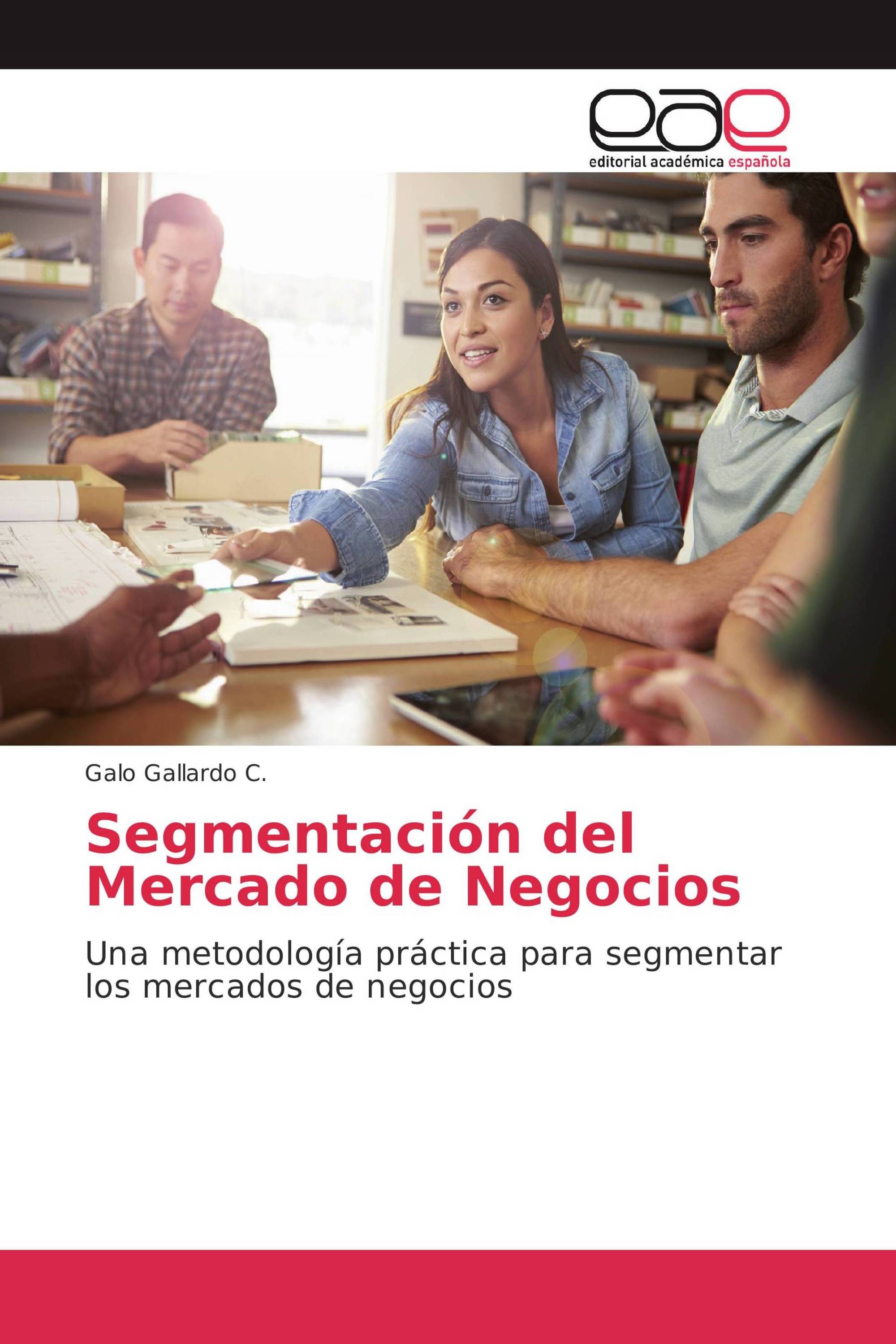 Segmentación del Mercado de Negocios