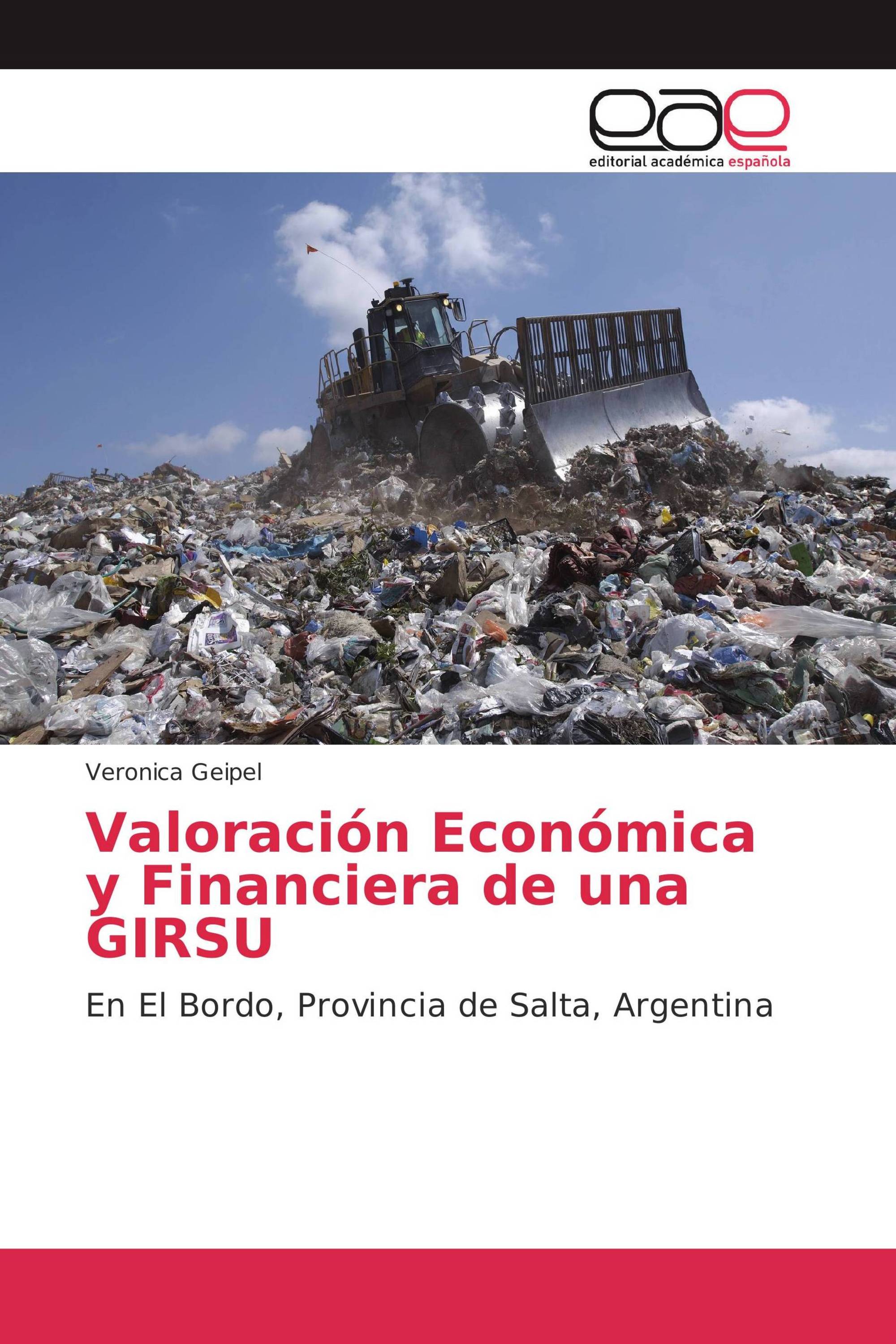 Valoración Económica y Financiera de una GIRSU