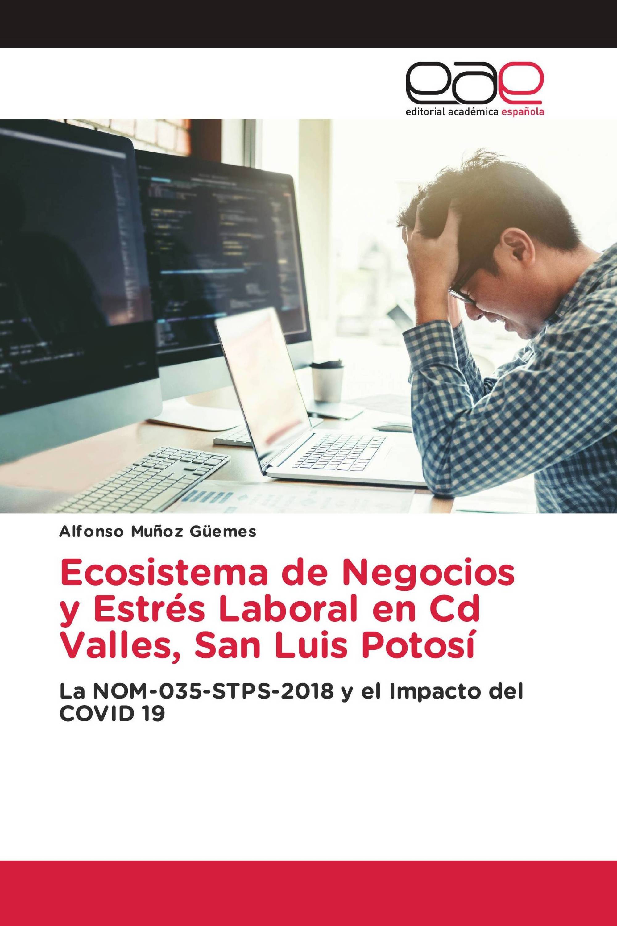 Ecosistema de Negocios y Estrés Laboral en Cd Valles, San Luis Potosí