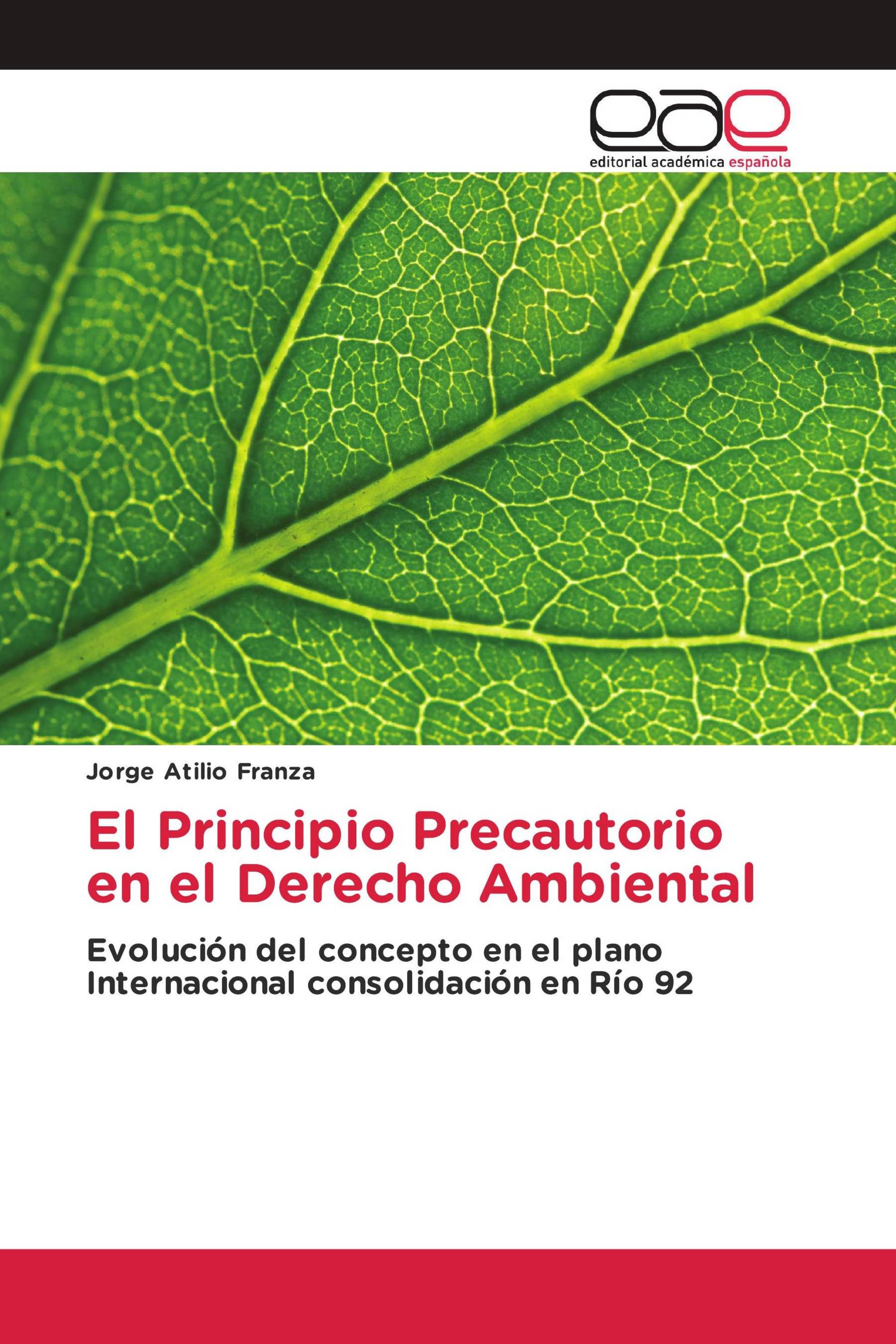 El Principio Precautorio en el Derecho Ambiental