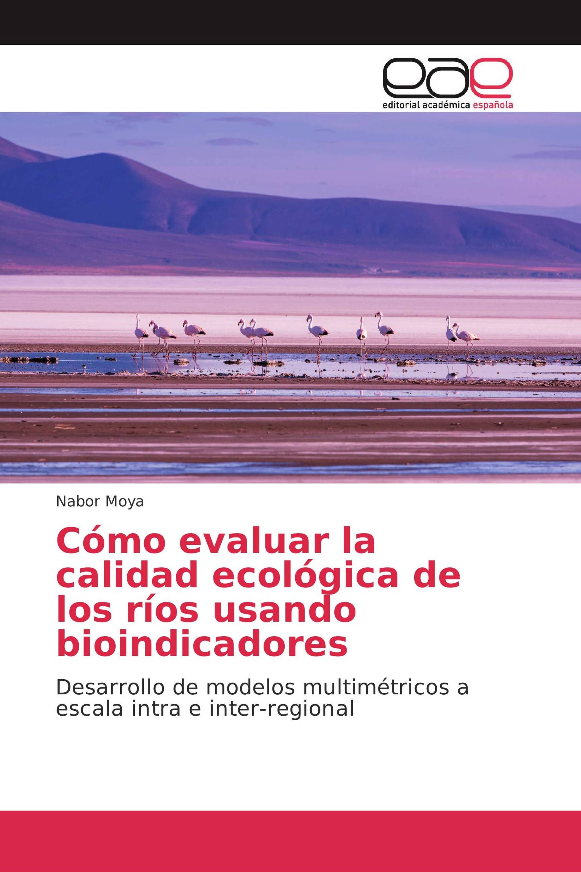 Cómo evaluar la calidad ecológica de los ríos usando bioindicadores