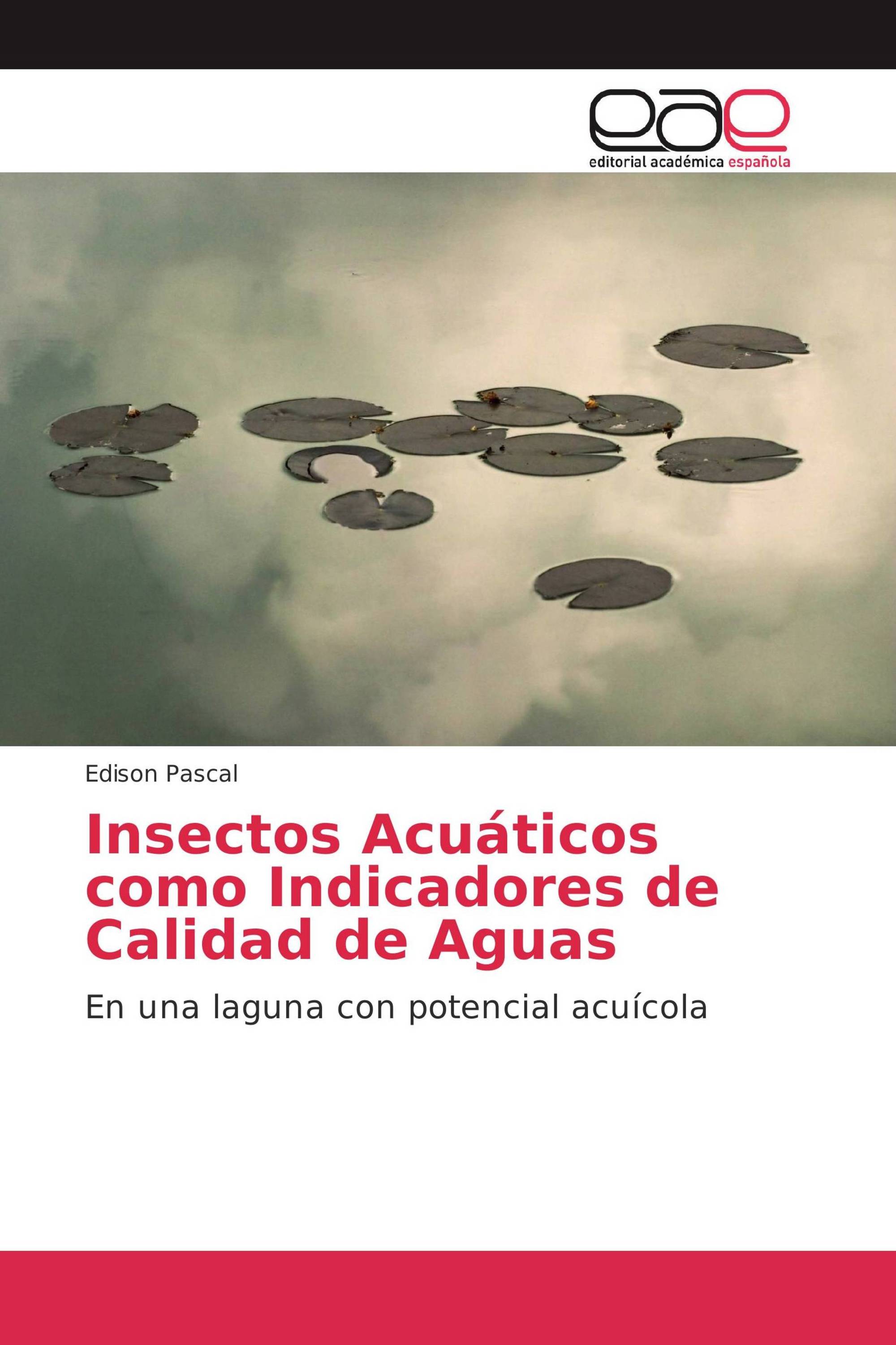 Insectos Acuáticos como Indicadores de Calidad de Aguas