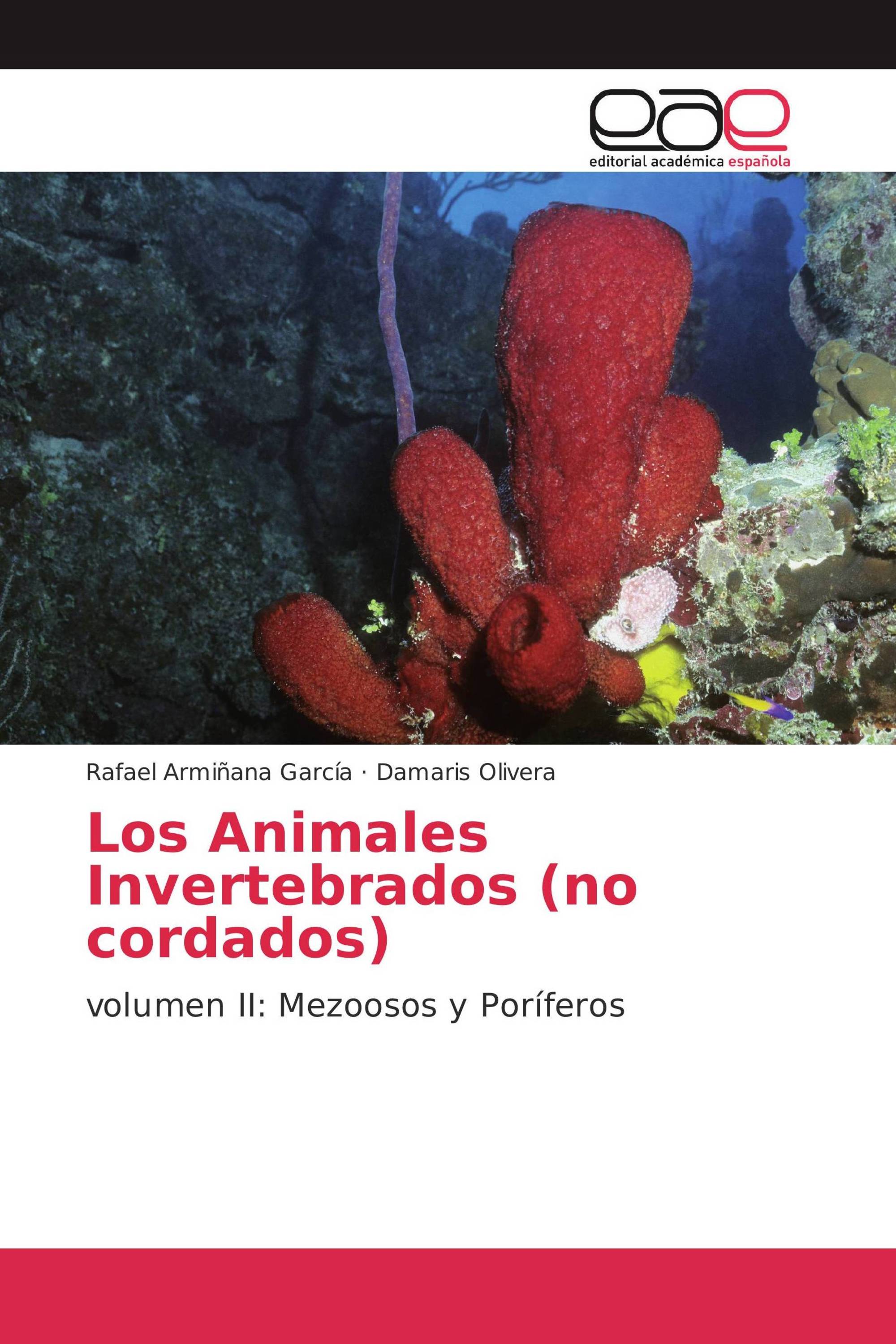 Los Animales Invertebrados (no cordados)