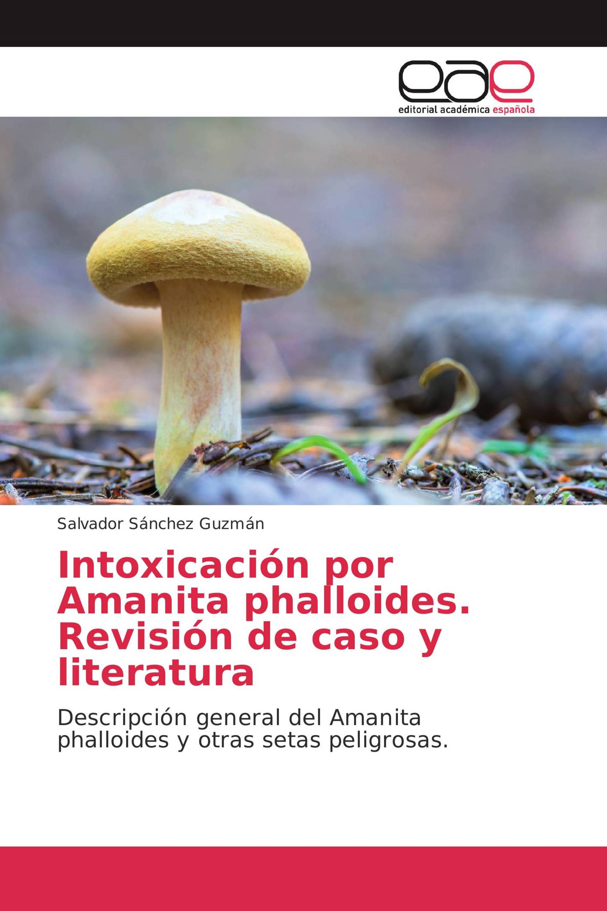 Intoxicación por Amanita phalloides. Revisión de caso y literatura