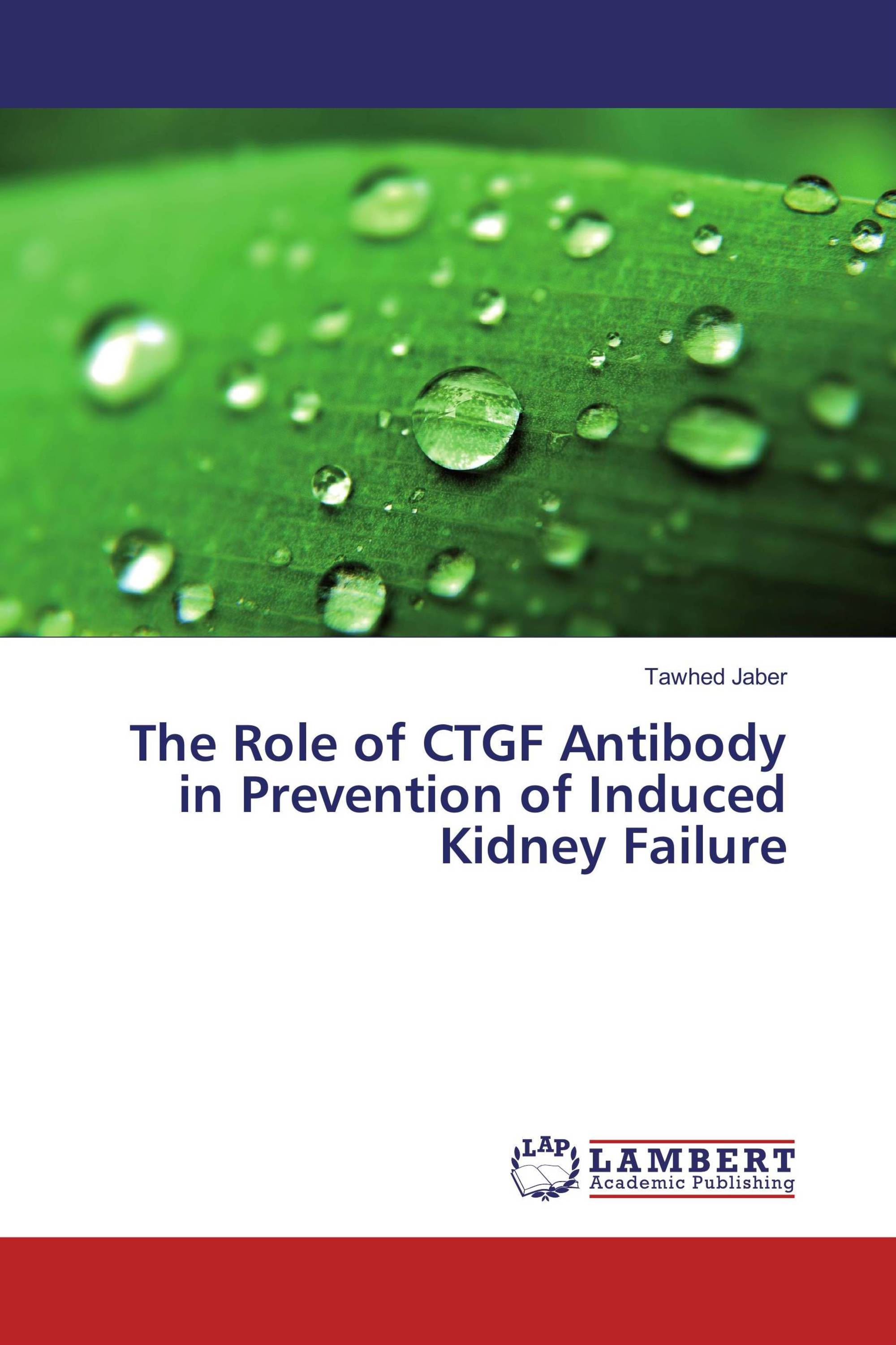 The Role of CTGF Antibody in Prevention of Induced Kidney Failure