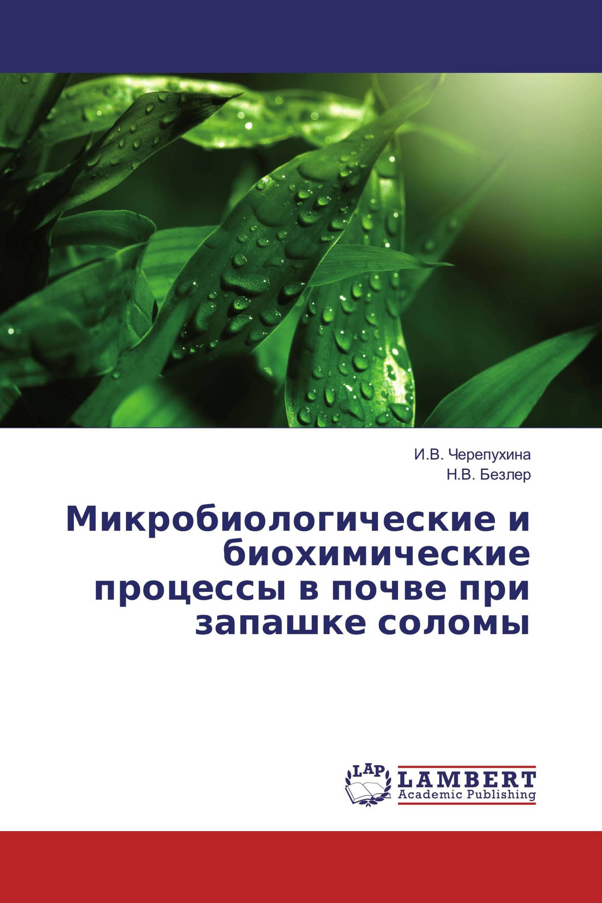 Микробиологические и биохимические процессы в почве при запашке соломы