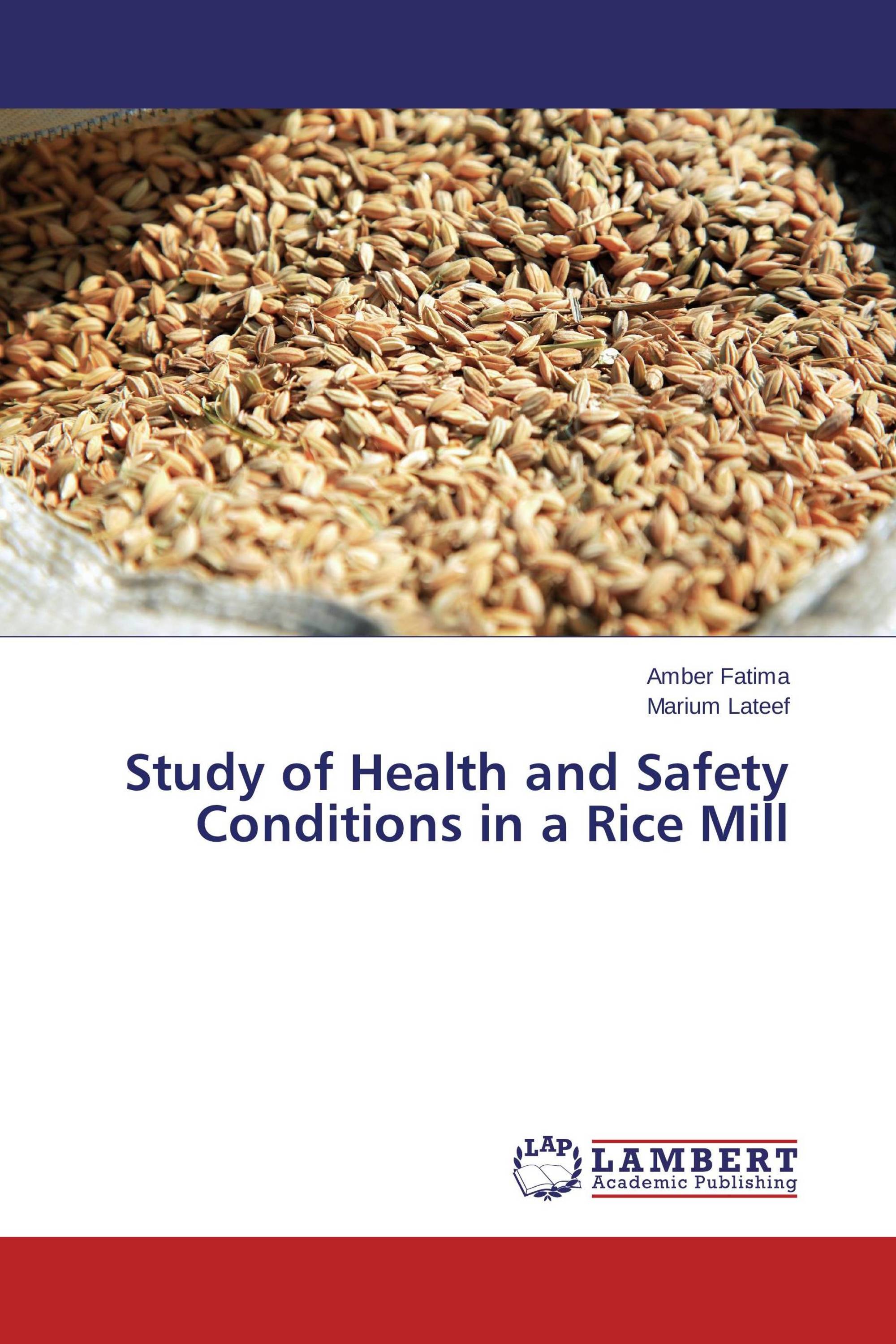 Study of Health and Safety Conditions in a Rice Mill