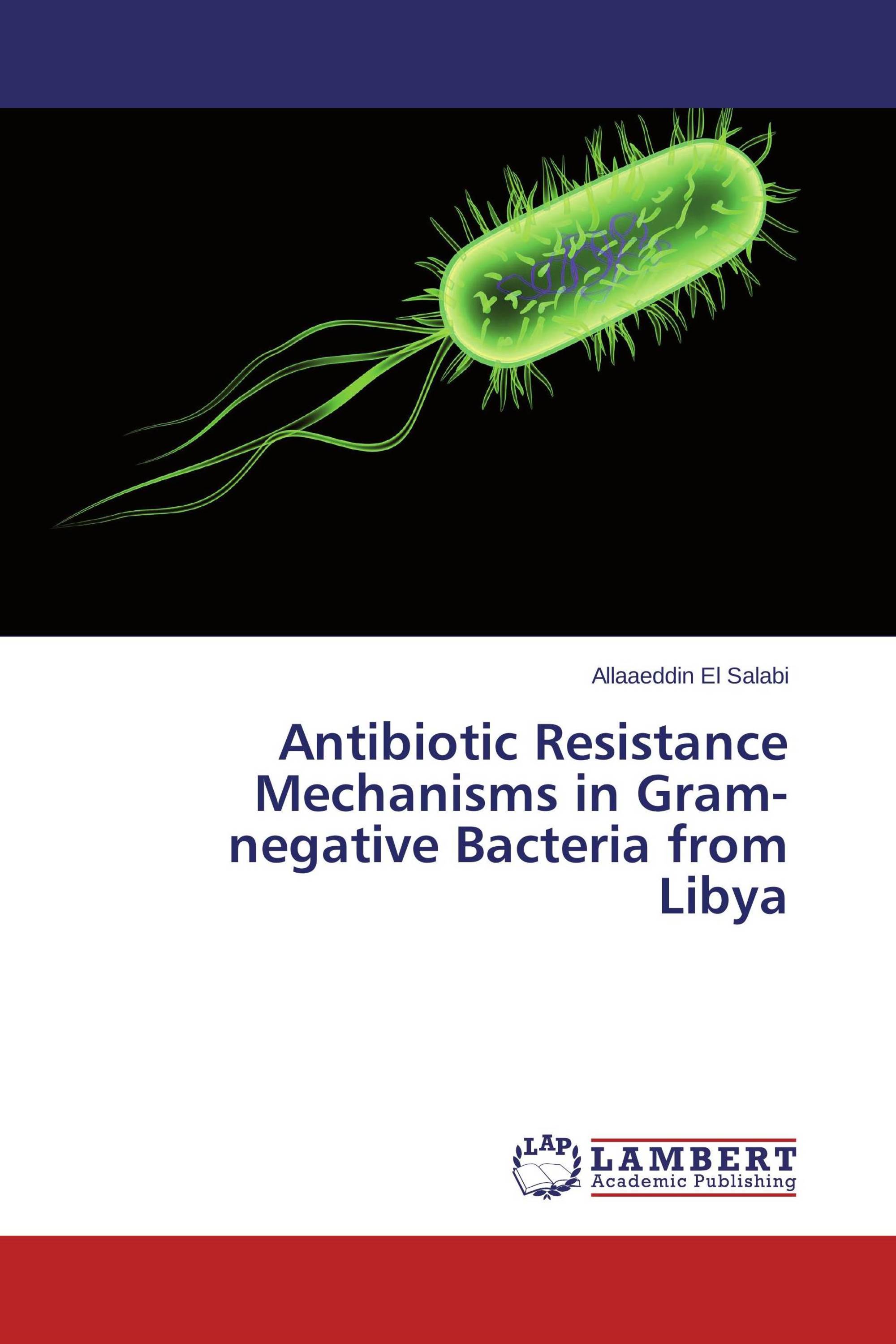 antibiotic-resistance-mechanisms-in-gram-negative-bacteria-from-libya