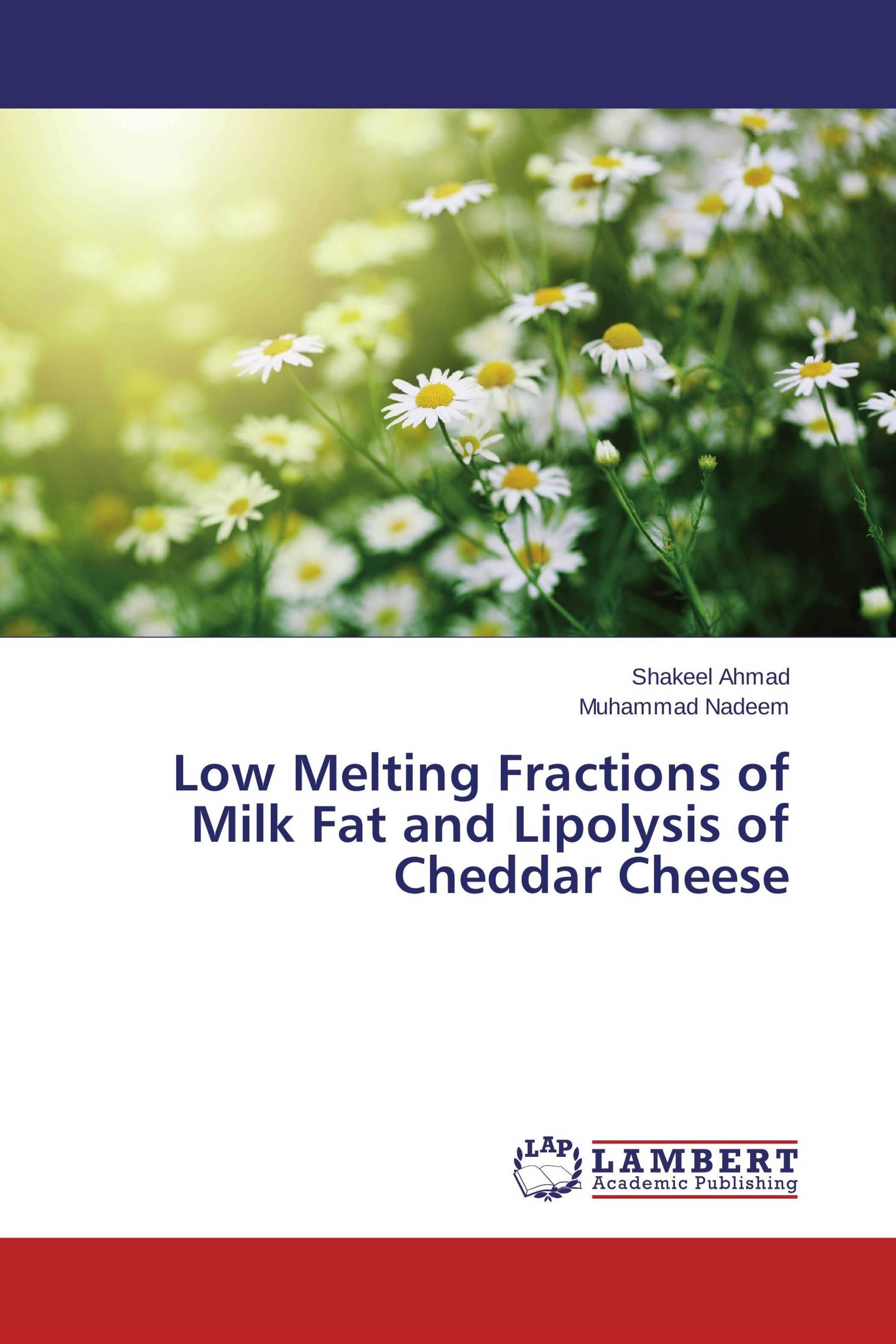 Low Melting Fractions of Milk Fat and Lipolysis of Cheddar Cheese