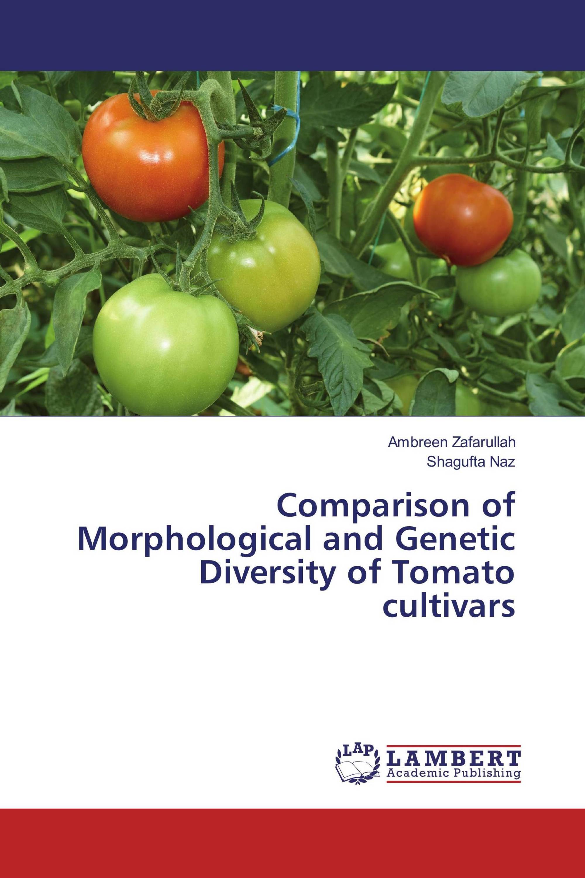 Comparison of Morphological and Genetic Diversity of Tomato cultivars