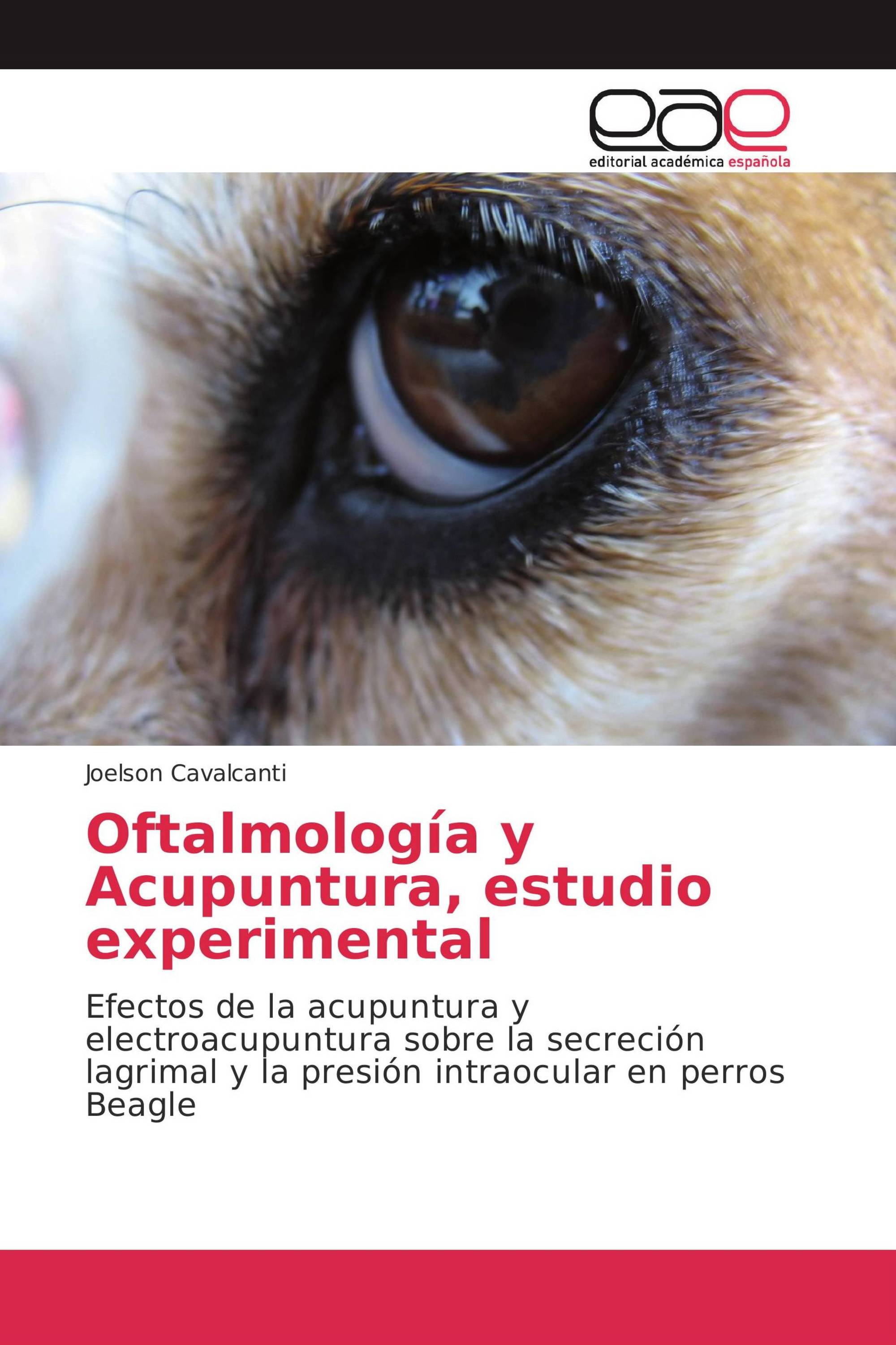 Oftalmología y Acupuntura, estudio experimental