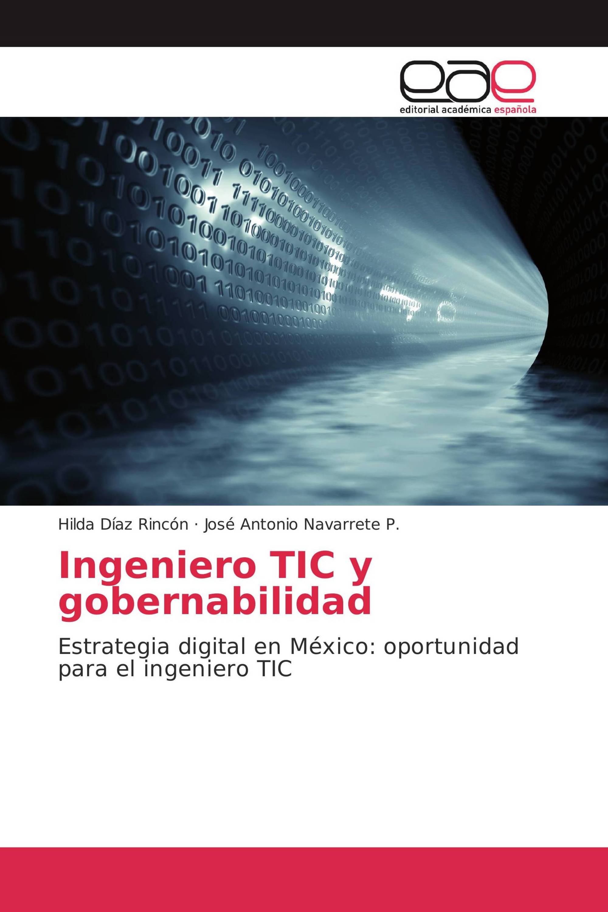 Ingeniero TIC y gobernabilidad