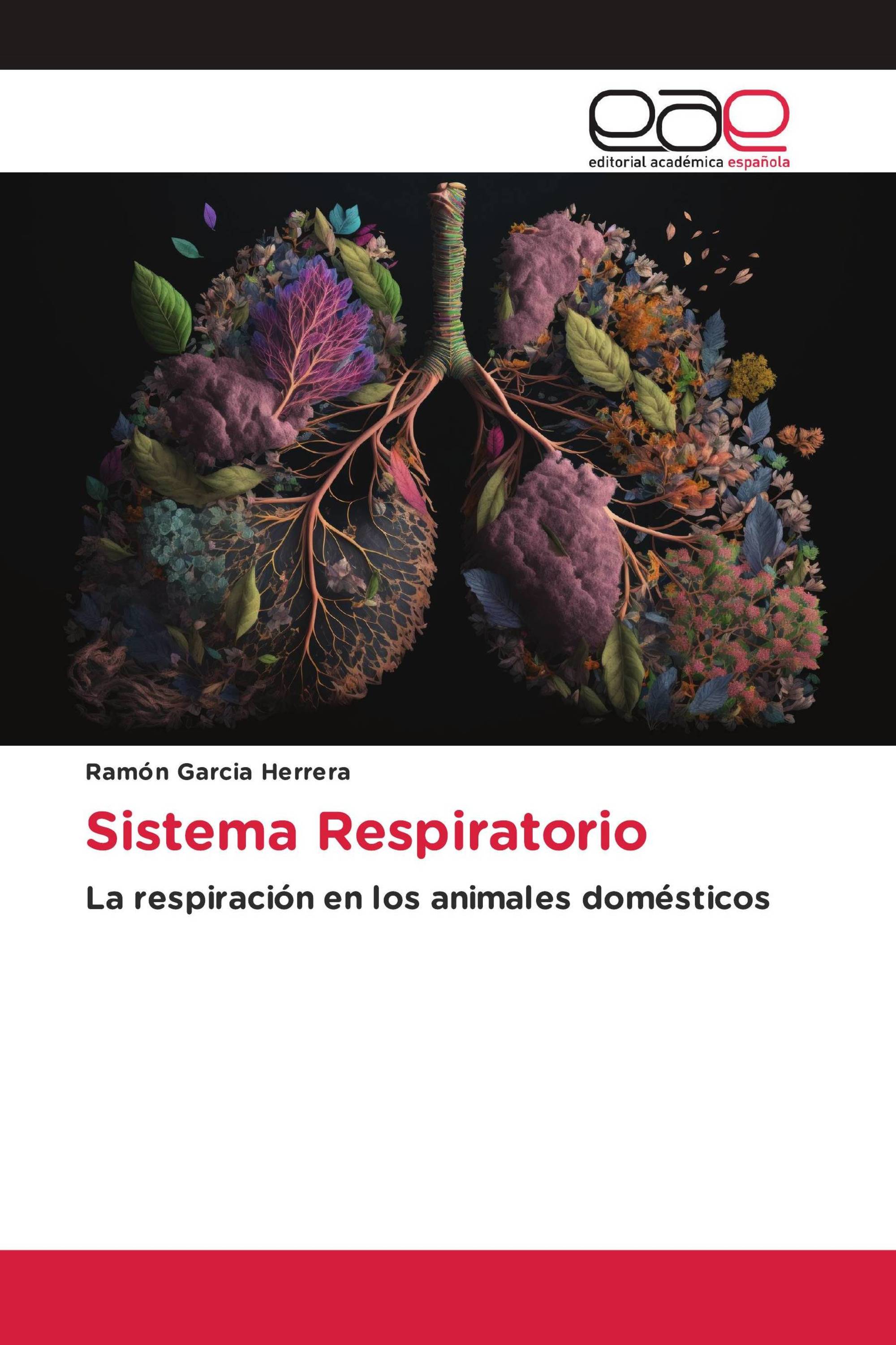 Sistema Respiratorio