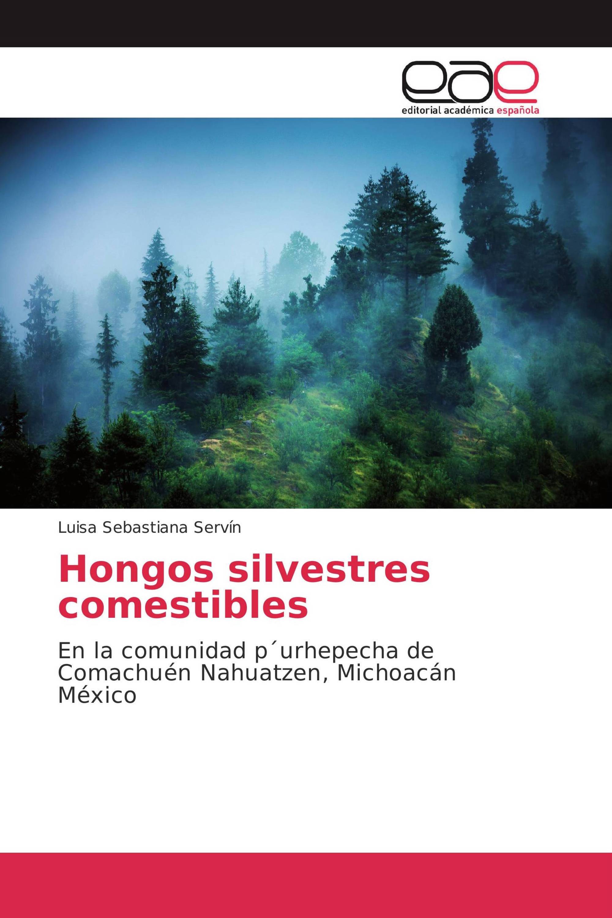 Hongos silvestres comestibles