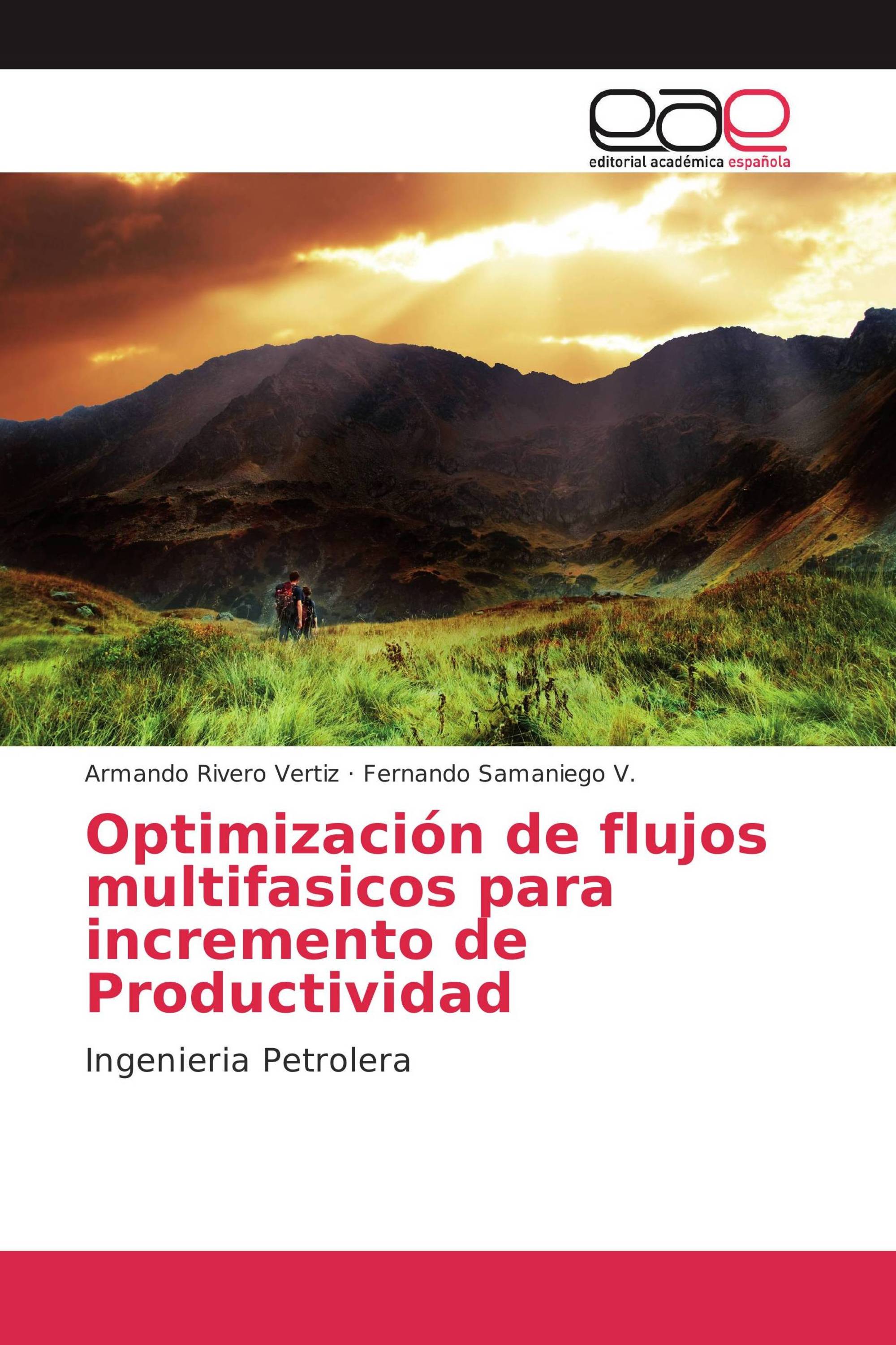 Optimización de flujos multifasicos para incremento de Productividad