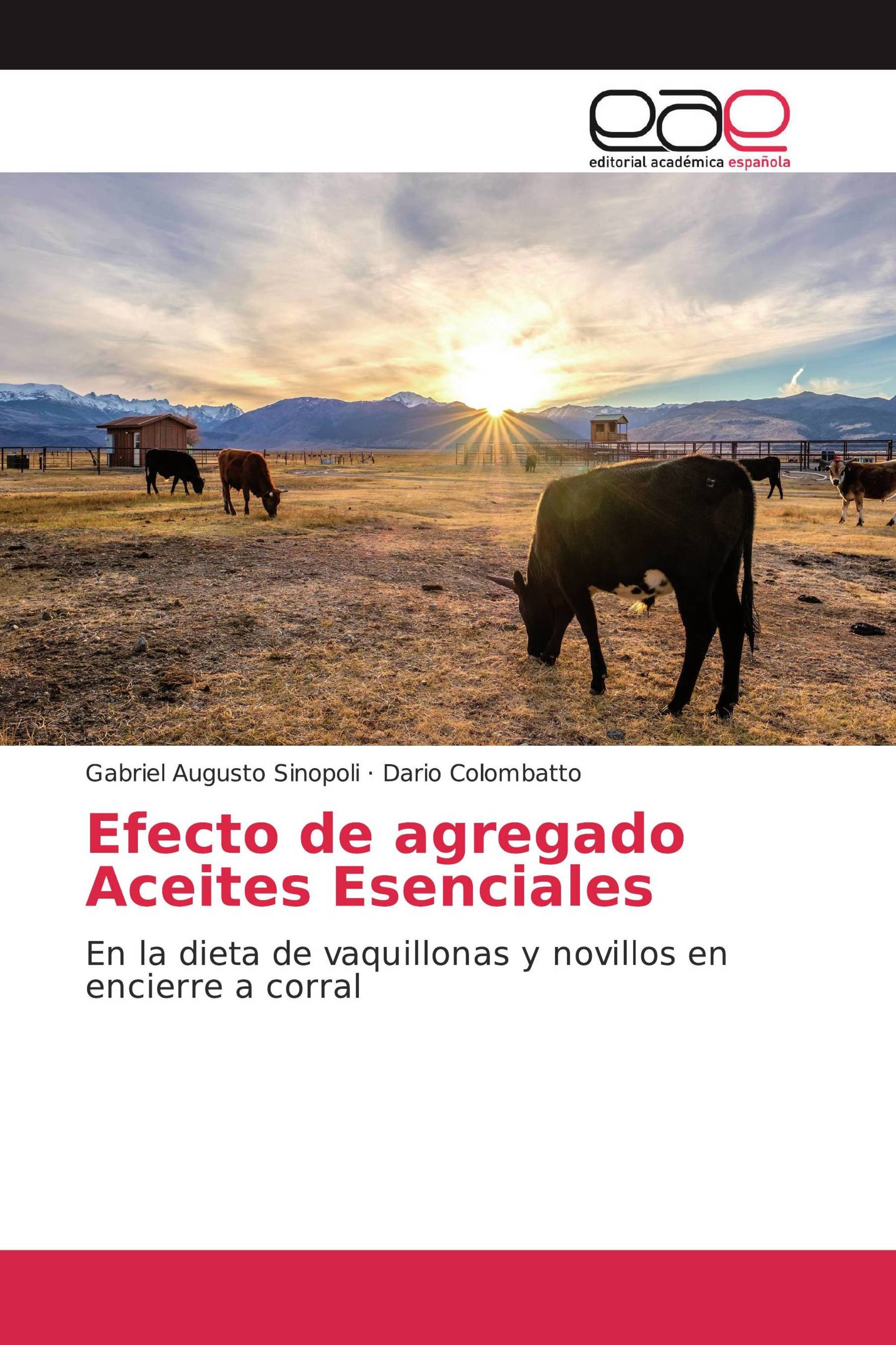 Efecto de agregado Aceites Esenciales