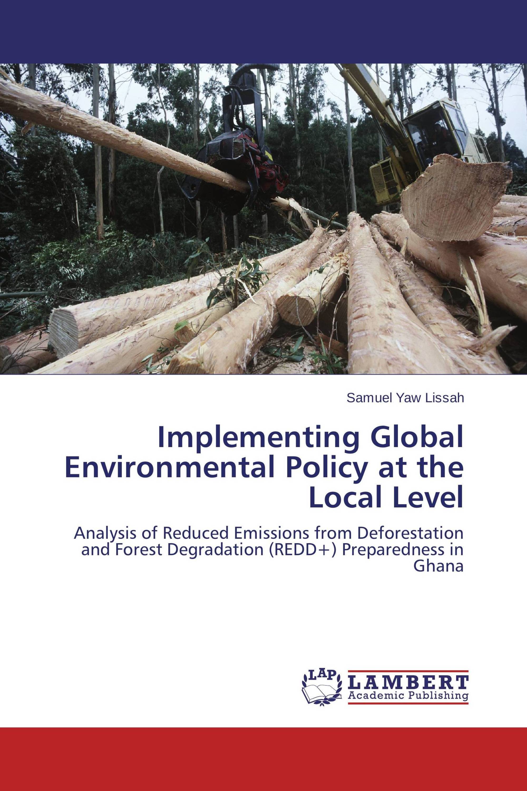 Implementing Global Environmental Policy at the Local Level