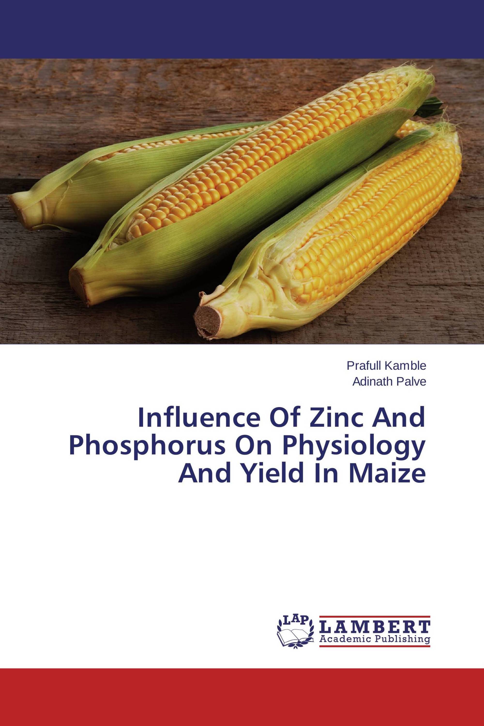 Influence Of Zinc And Phosphorus On Physiology And Yield In Maize