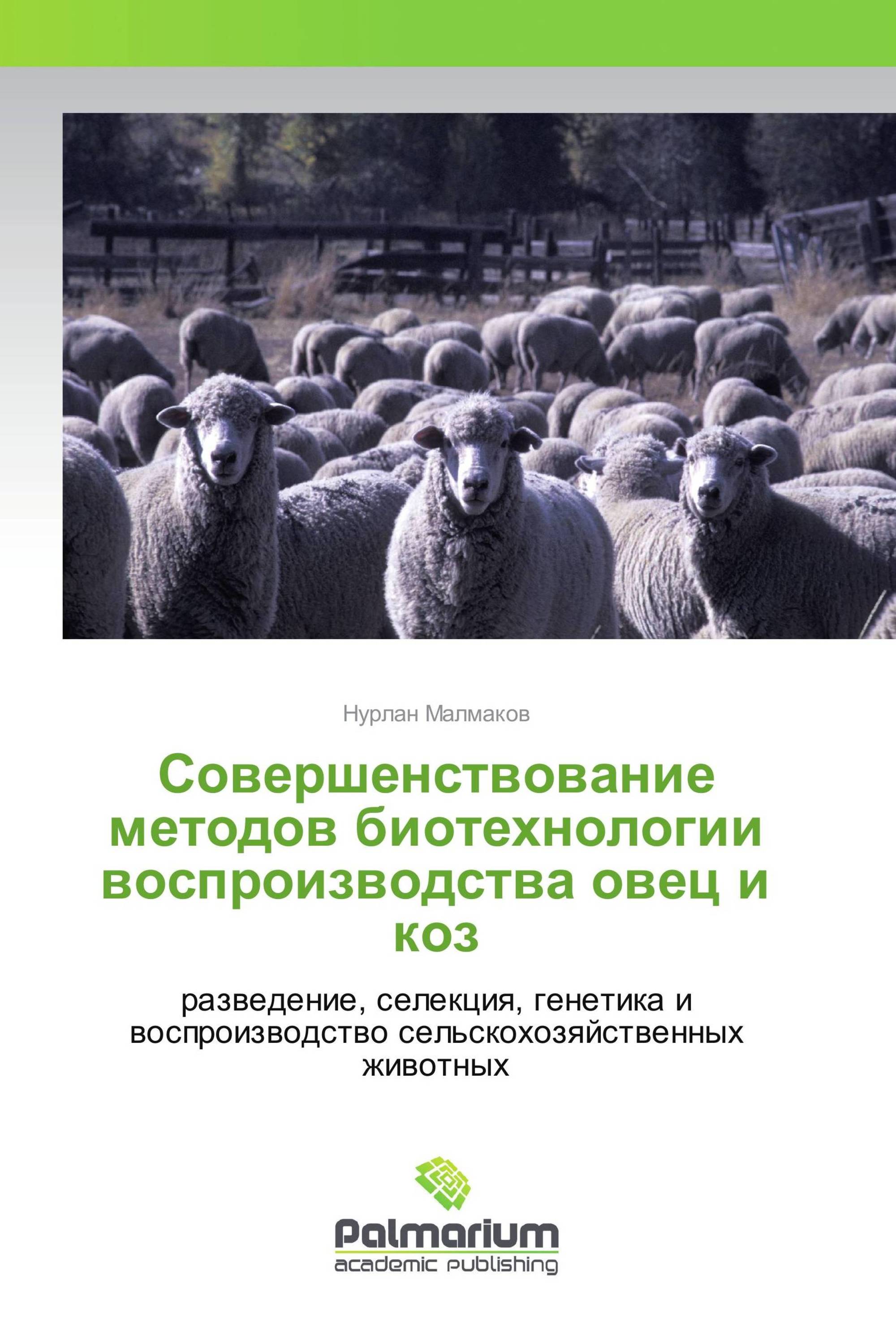 Совершенствование методов биотехнологии воспроизводства овец и коз