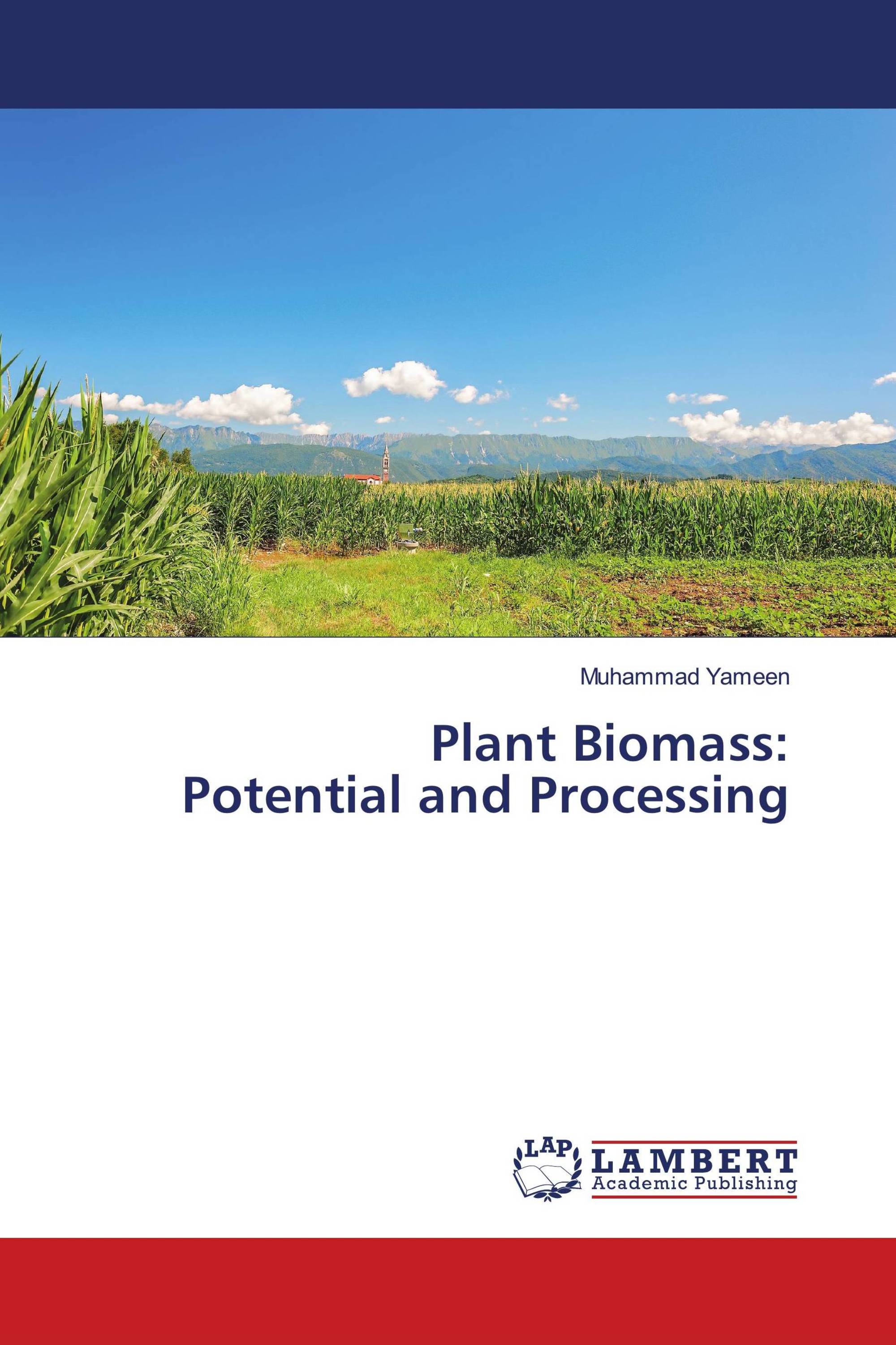 Plant Biomass: Potential and Processing