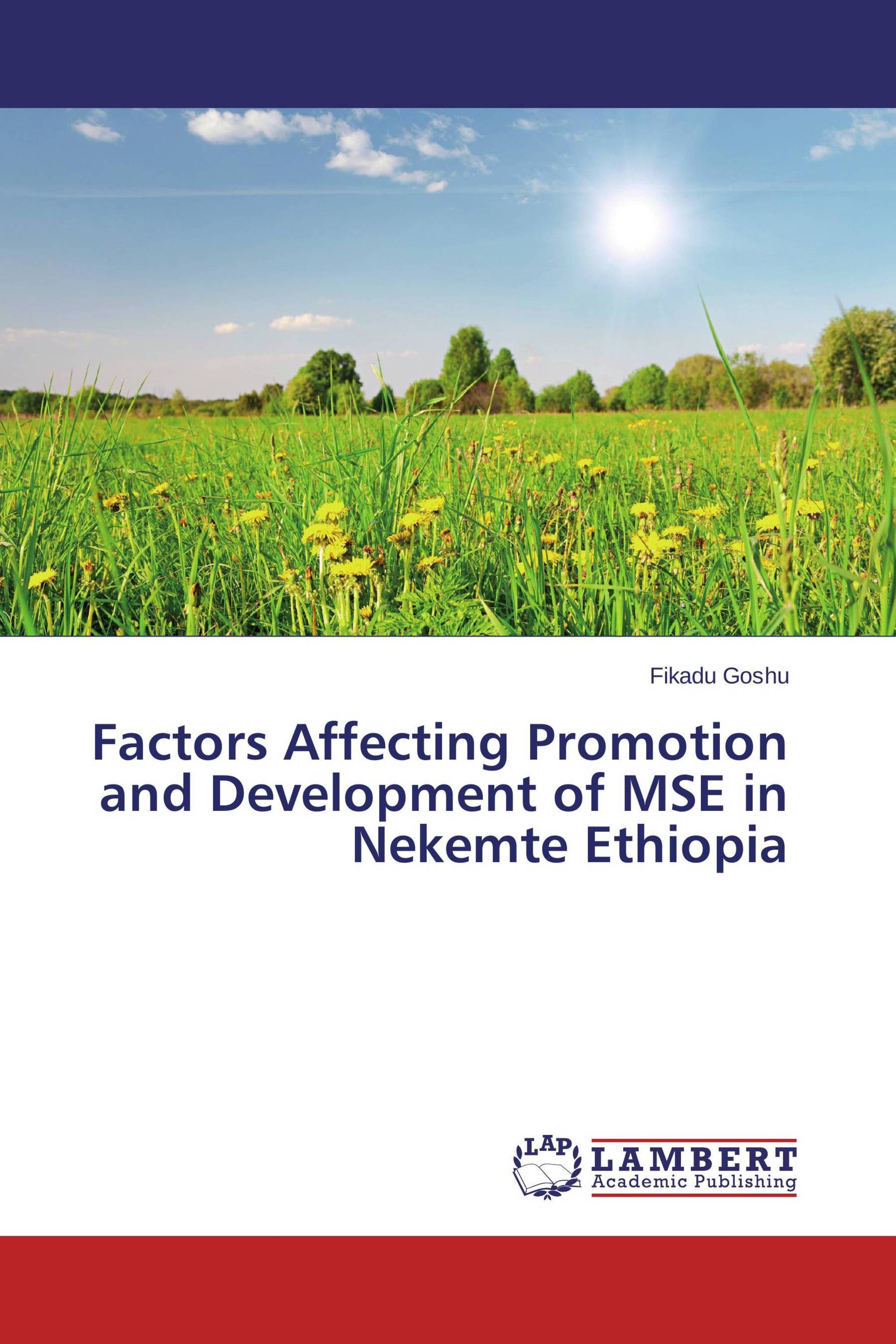 Factors Affecting Promotion and Development of MSE in Nekemte Ethiopia