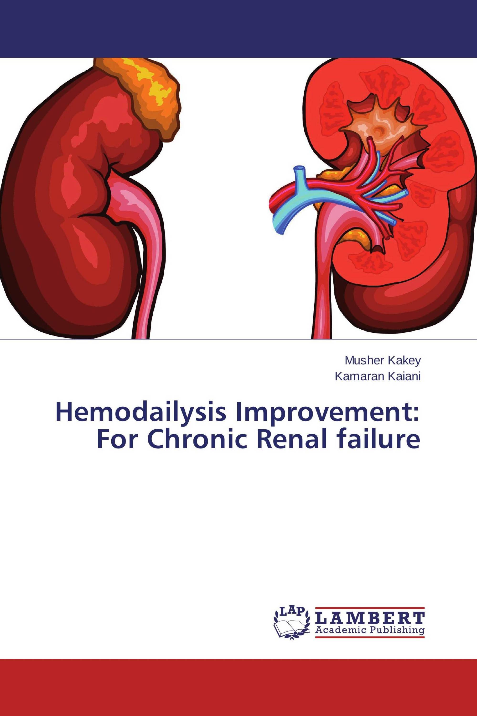 Hemodailysis Improvement: For Chronic Renal failure / 978 ...